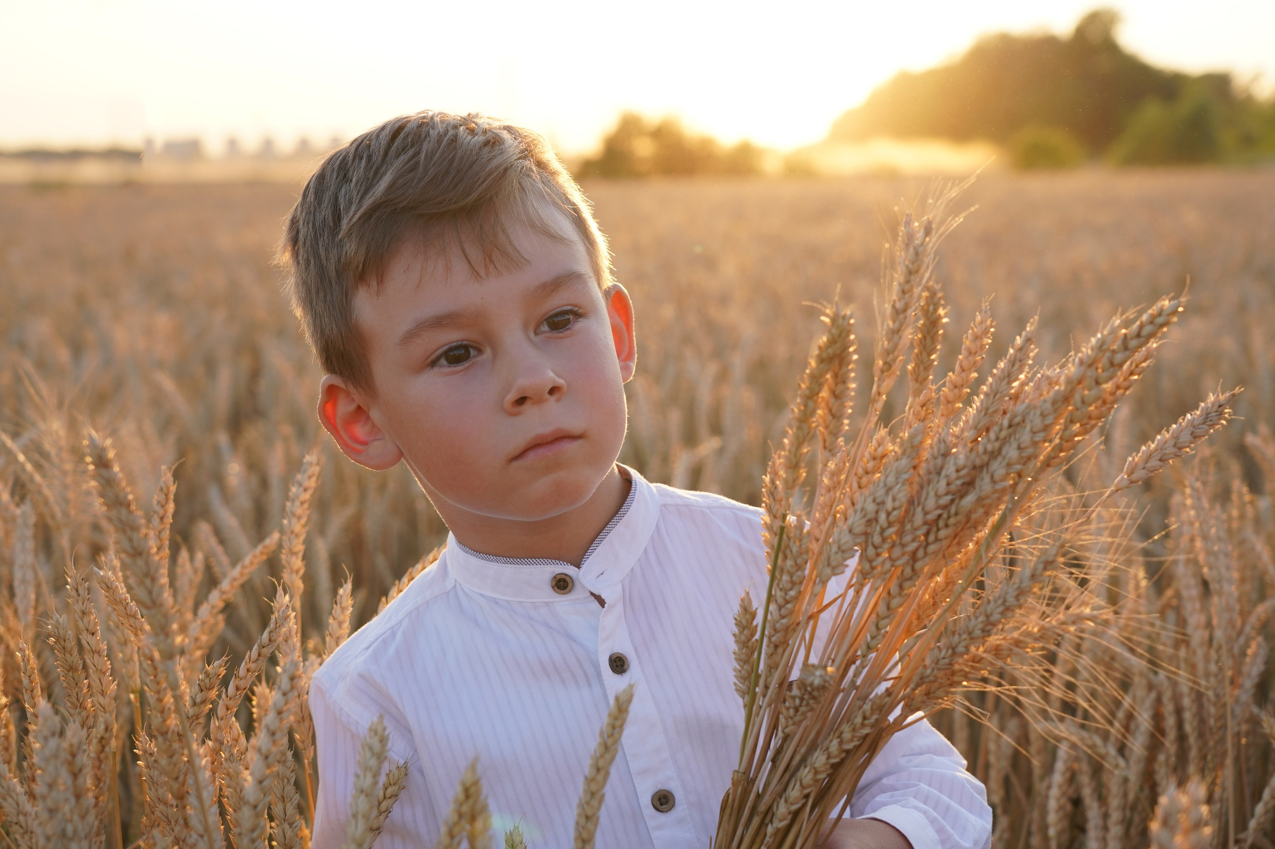 Моя фотостудия: поле, лес, море и горы… Казань — Москва — Болгария