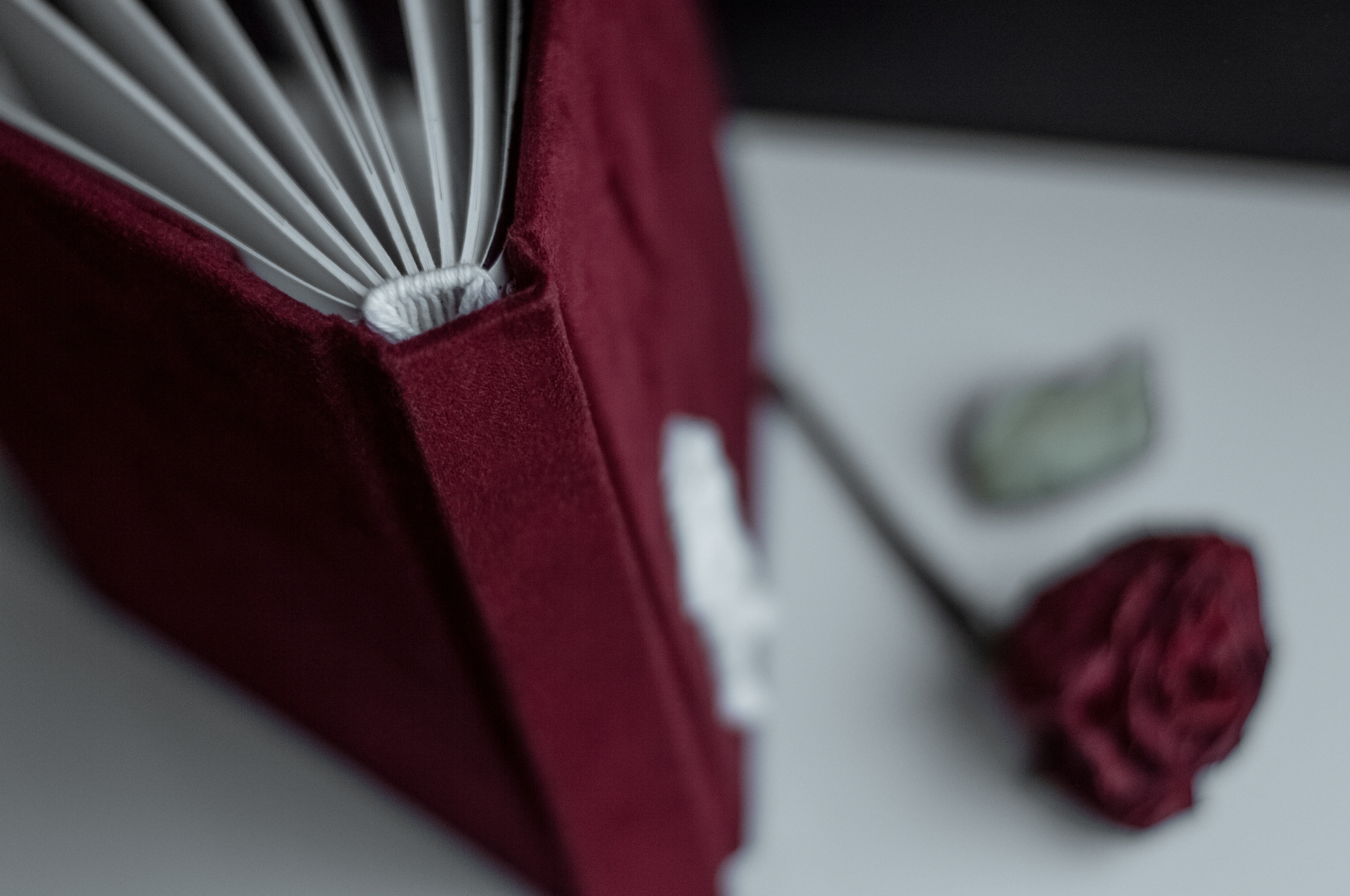 Фотоальбомы. Анастасия — фотограф