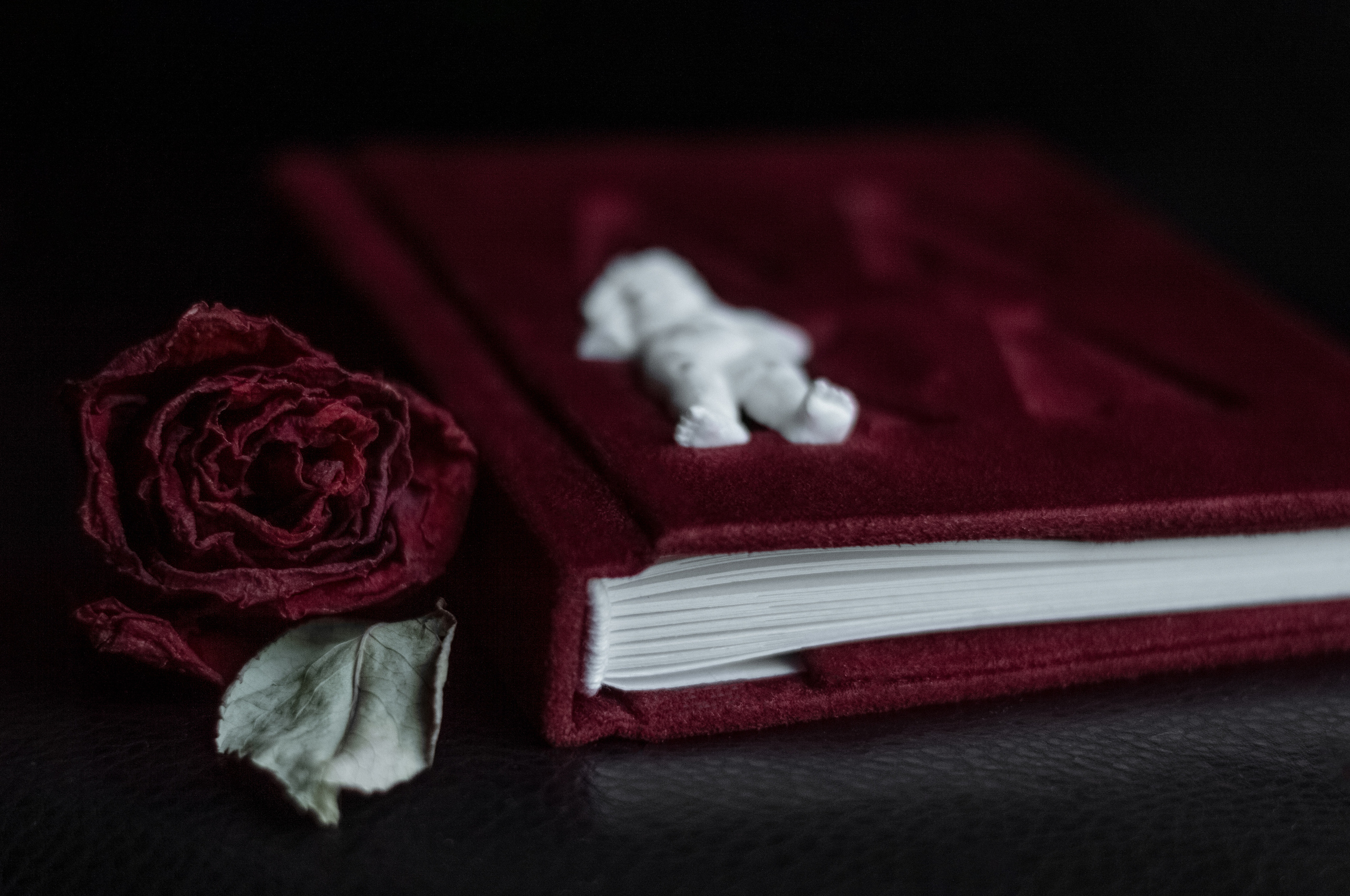 Фотоальбомы. Анастасия — фотограф