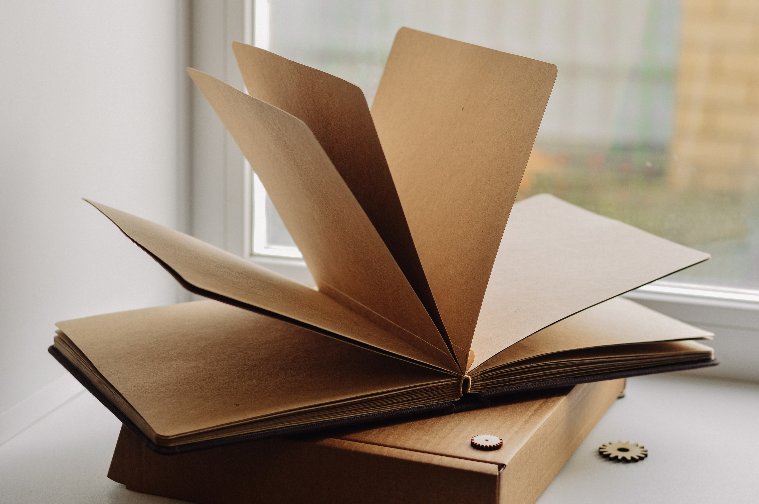 Фотоальбомы. Анастасия — фотограф