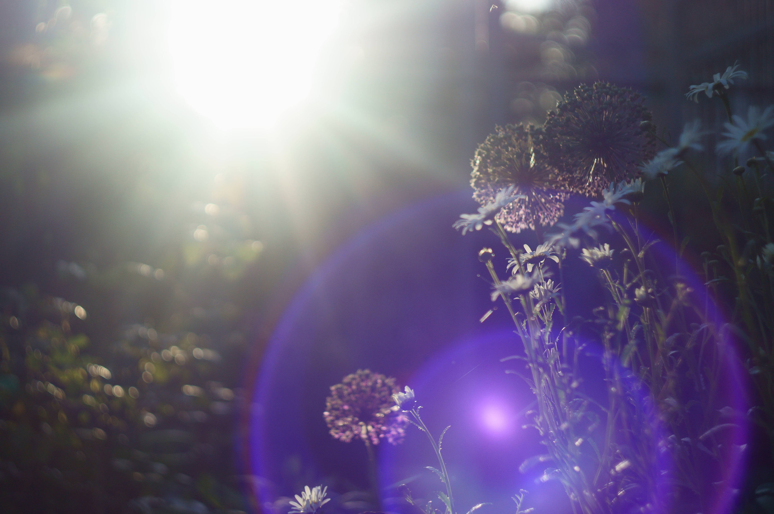 Рекламный, fashion, репортажный, бекстейдж фотограф Ростов-на-Дону Руслан Кирсанов