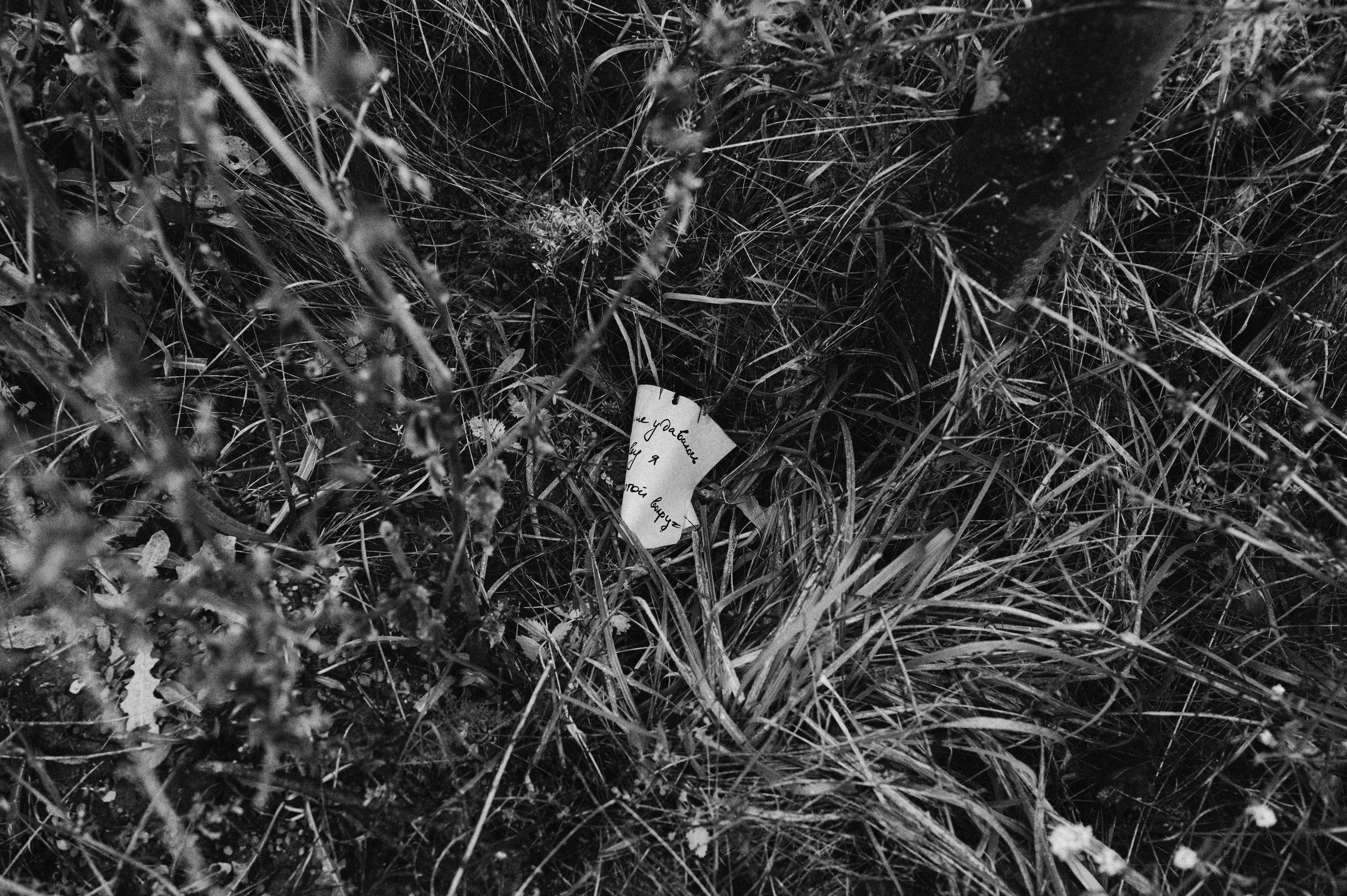 Перформанс «Лес мыслей». Коммерческий фотограф в Казани Ксения Добролюбова