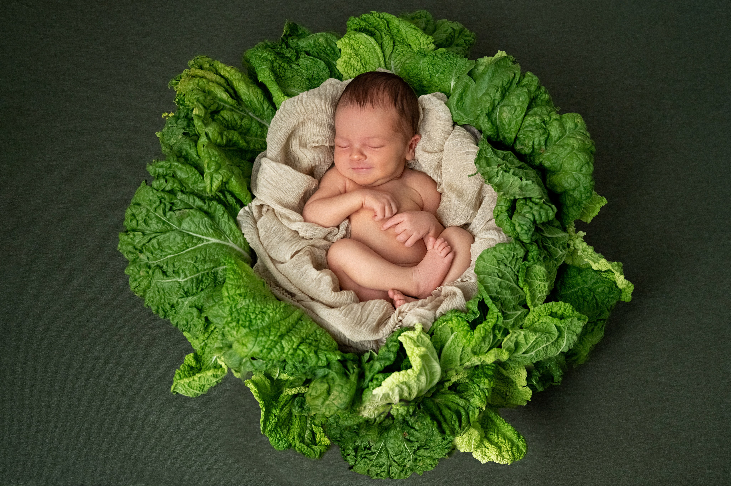 Пакет 3. Фотограф новорожденных малышей в Санкт-Петербурге