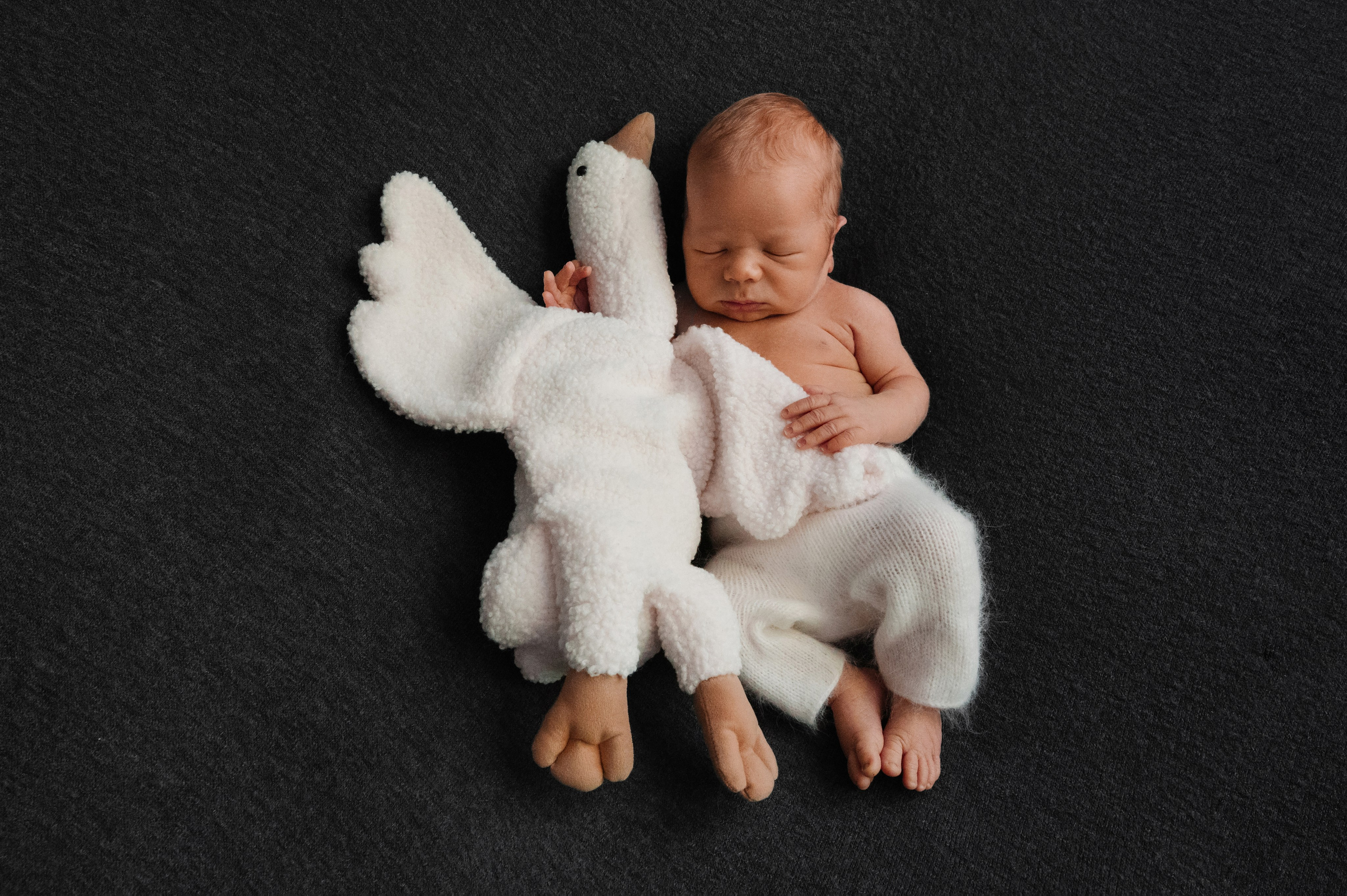 Пакет 3. Фотограф новорожденных малышей в Санкт-Петербурге