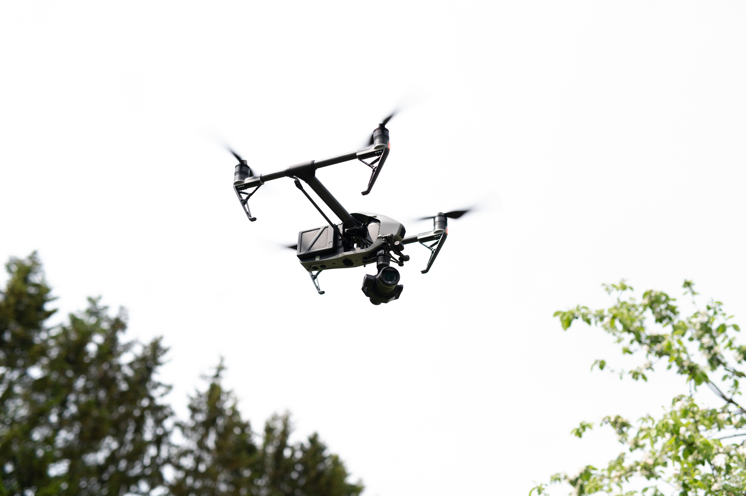 Услуги. Профессиональный фотограф и видеограф в Сортавала Ася Легконогова