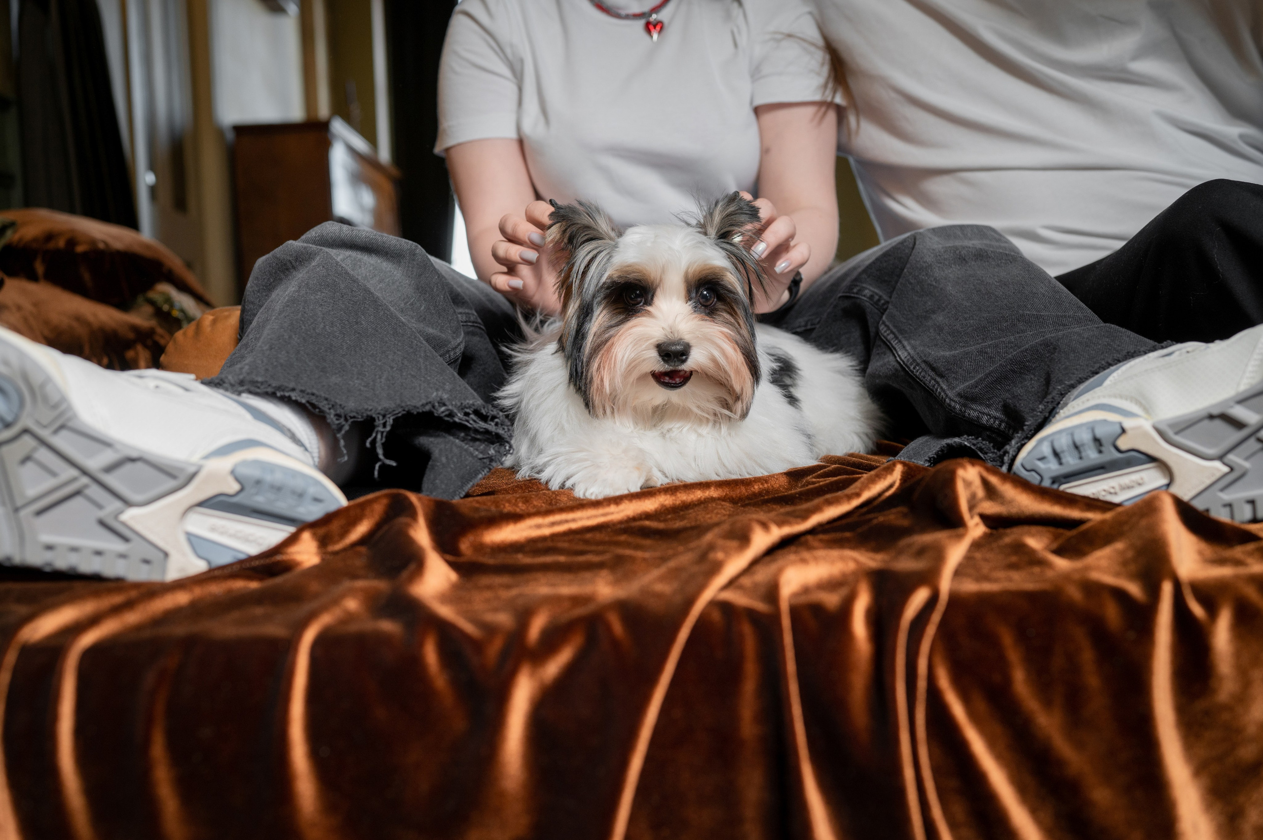 Игорь, Ника и Урфин. Свадебный и портретный фотограф в Омске Матвей Краузе