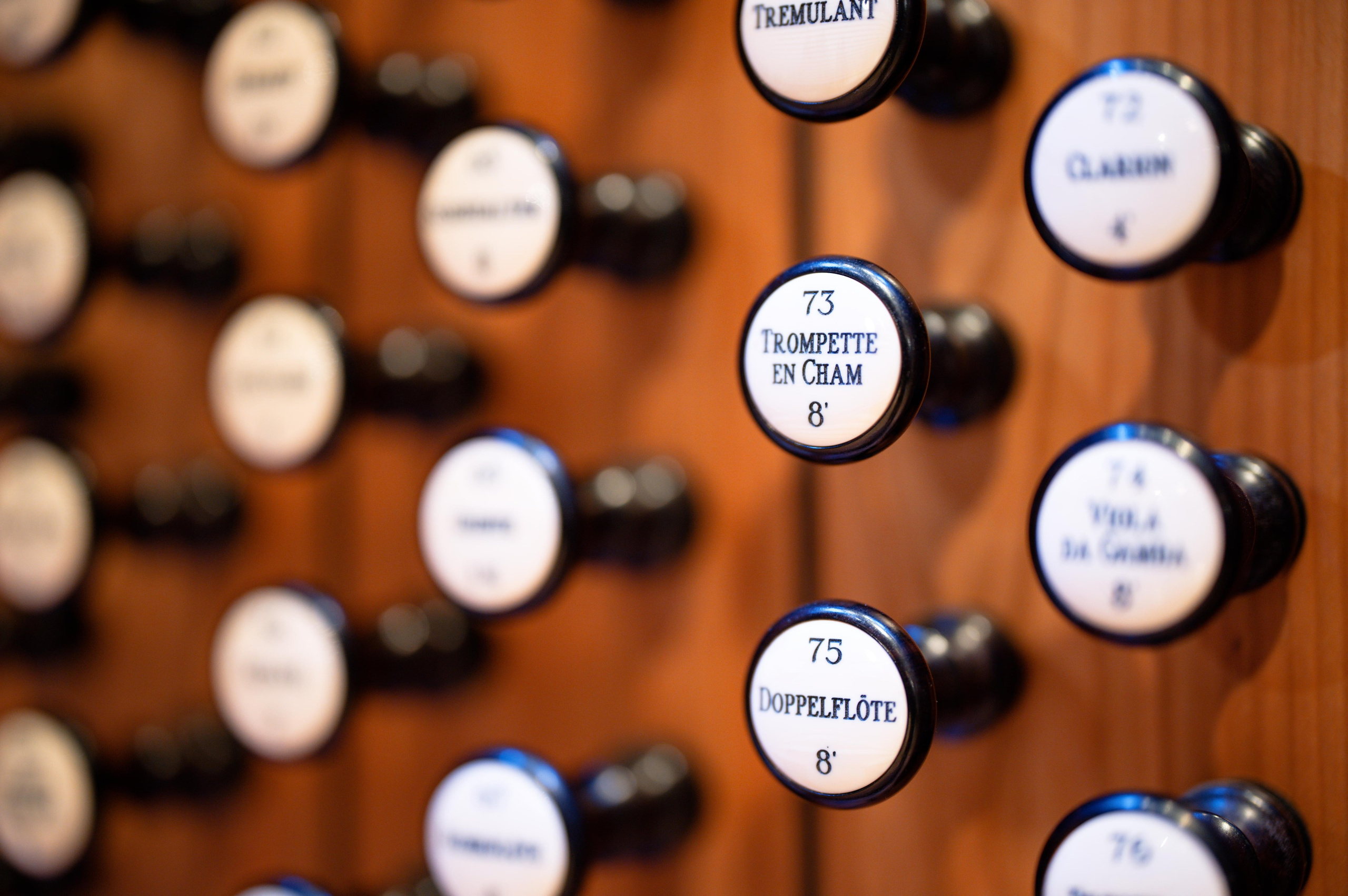 детели клавишного органа