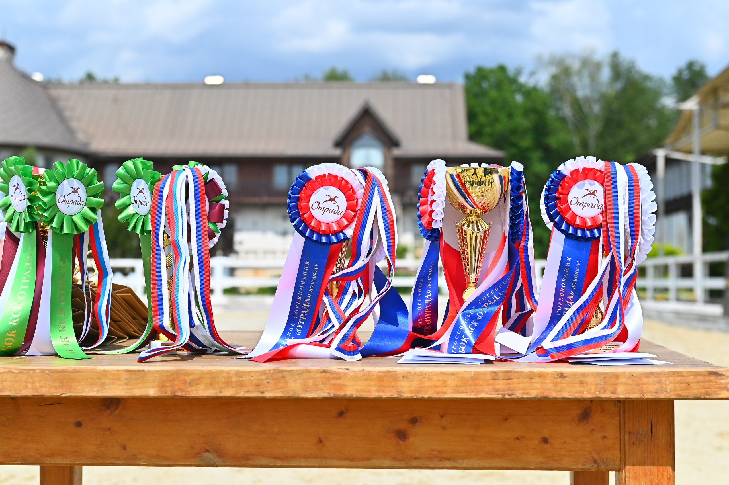 Всероссийские сор. «Летний Кубок КСК „Отрада"по конкуру» (05-15 ИЮНЯ). ТУРНИРНАЯ КОННАЯ ФОТОГРАФИЯ, Руднева Ольга и Евгений Адеев