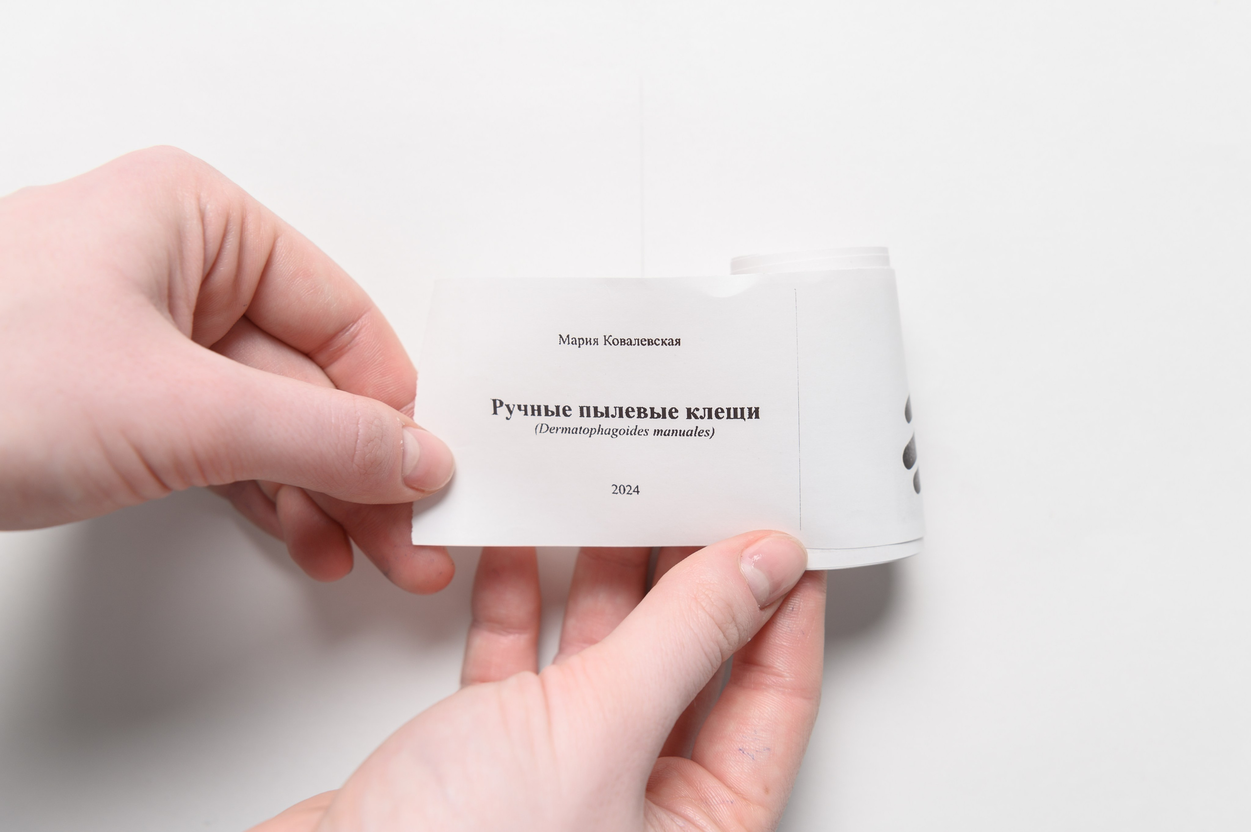 Ручные пылевые клещи. Мария Ковалевская — фотохудожник