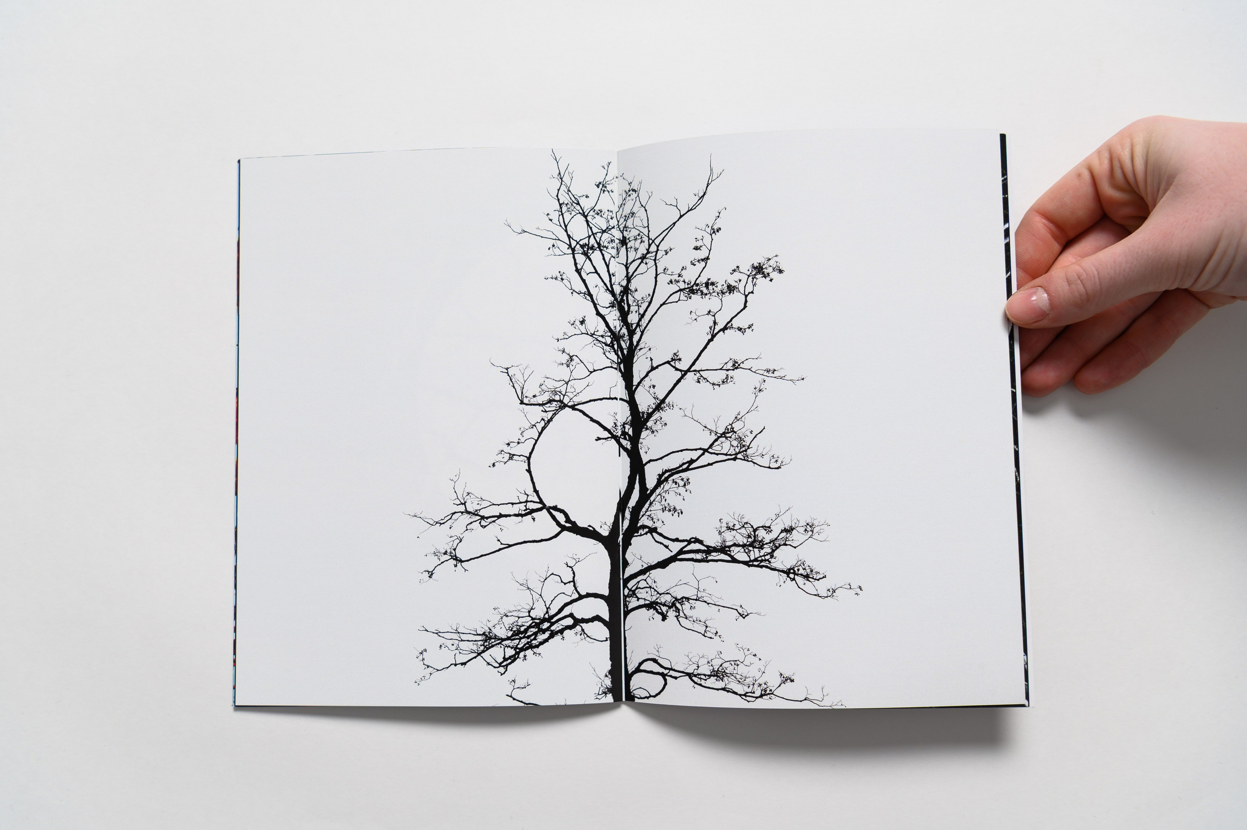 Бег во сне. Мария Ковалевская — фотохудожник