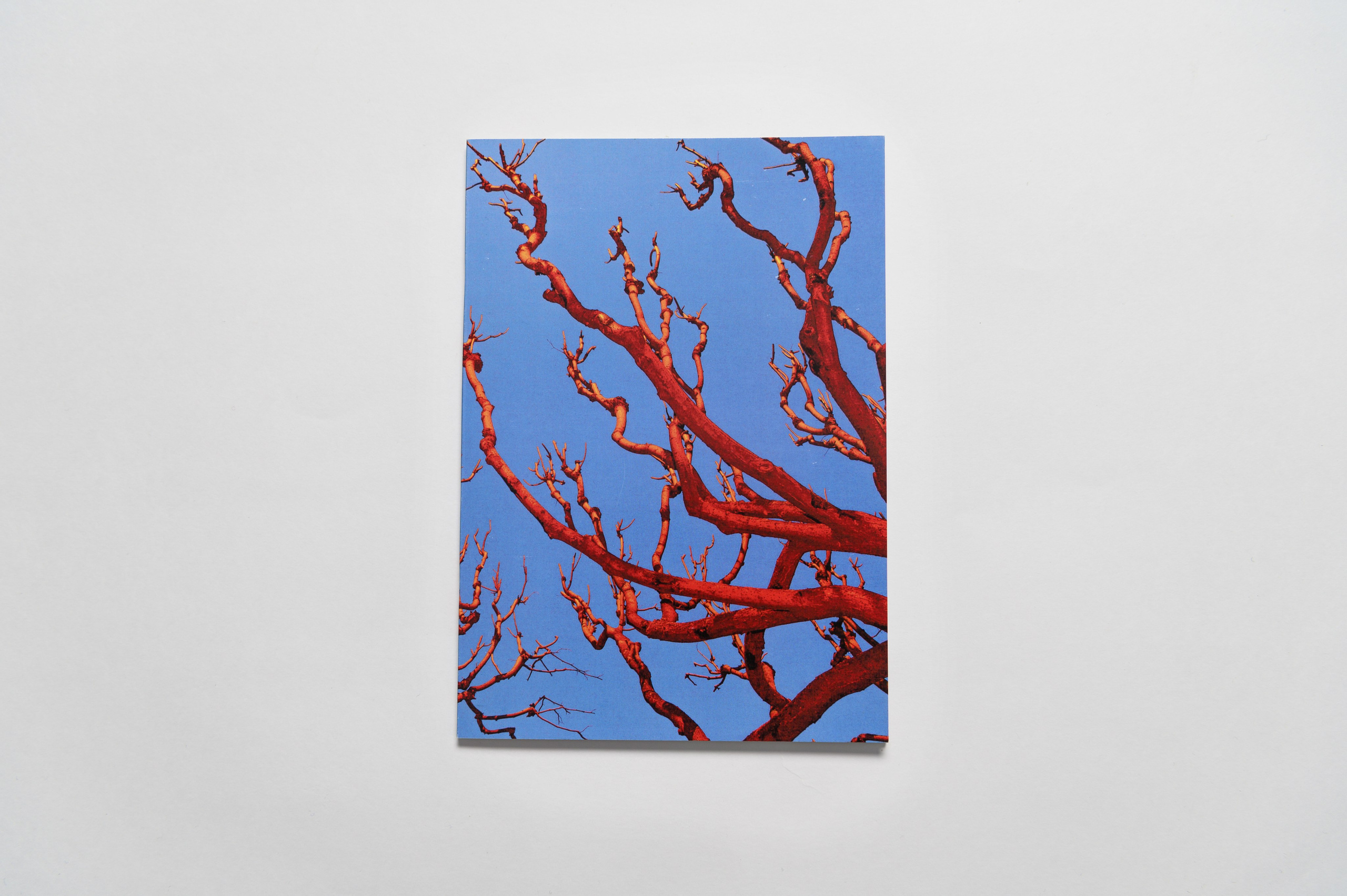 Бег во сне. Мария Ковалевская — фотохудожник