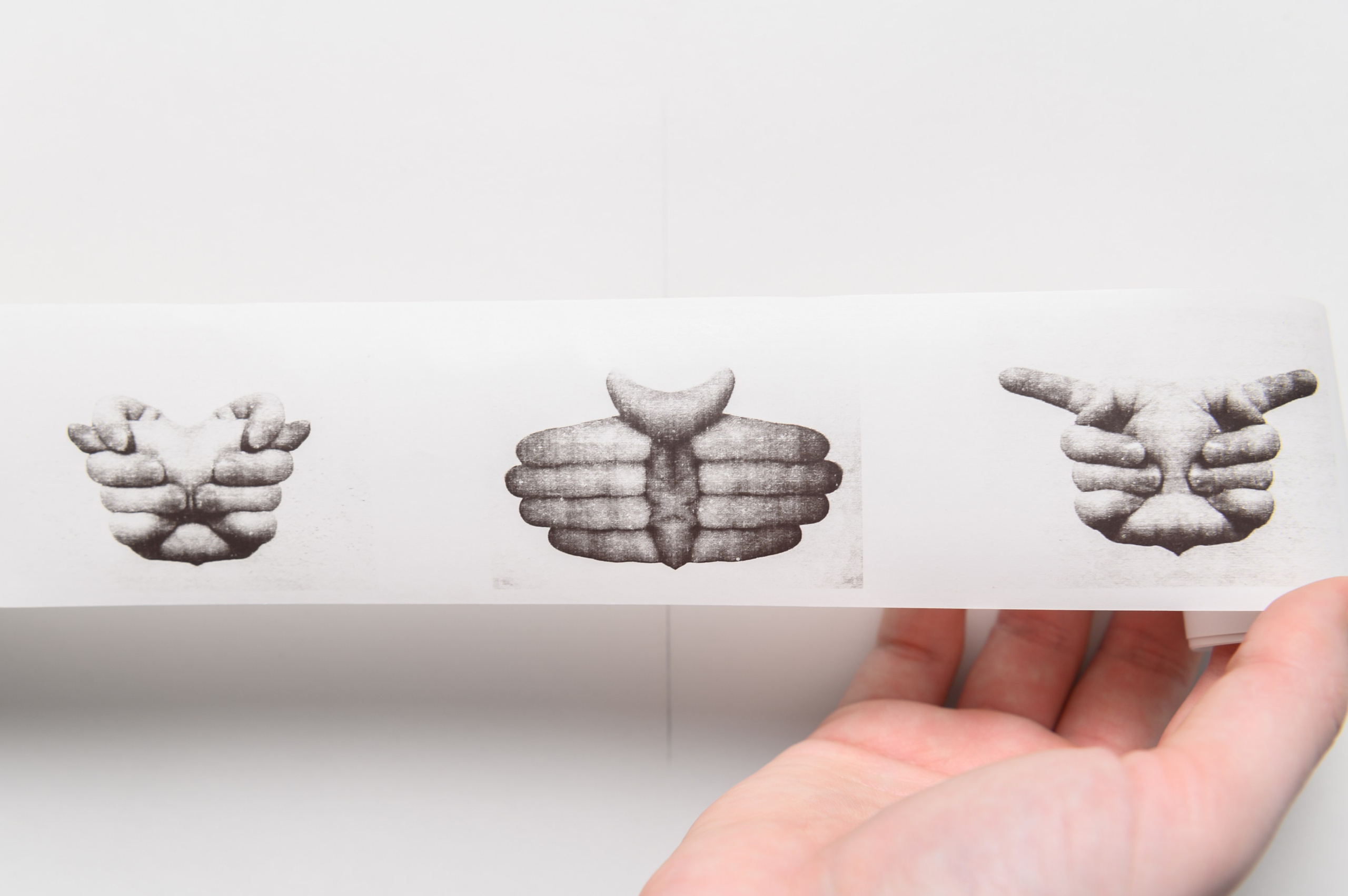 Ручные пылевые клещи. Мария Ковалевская — фотохудожник