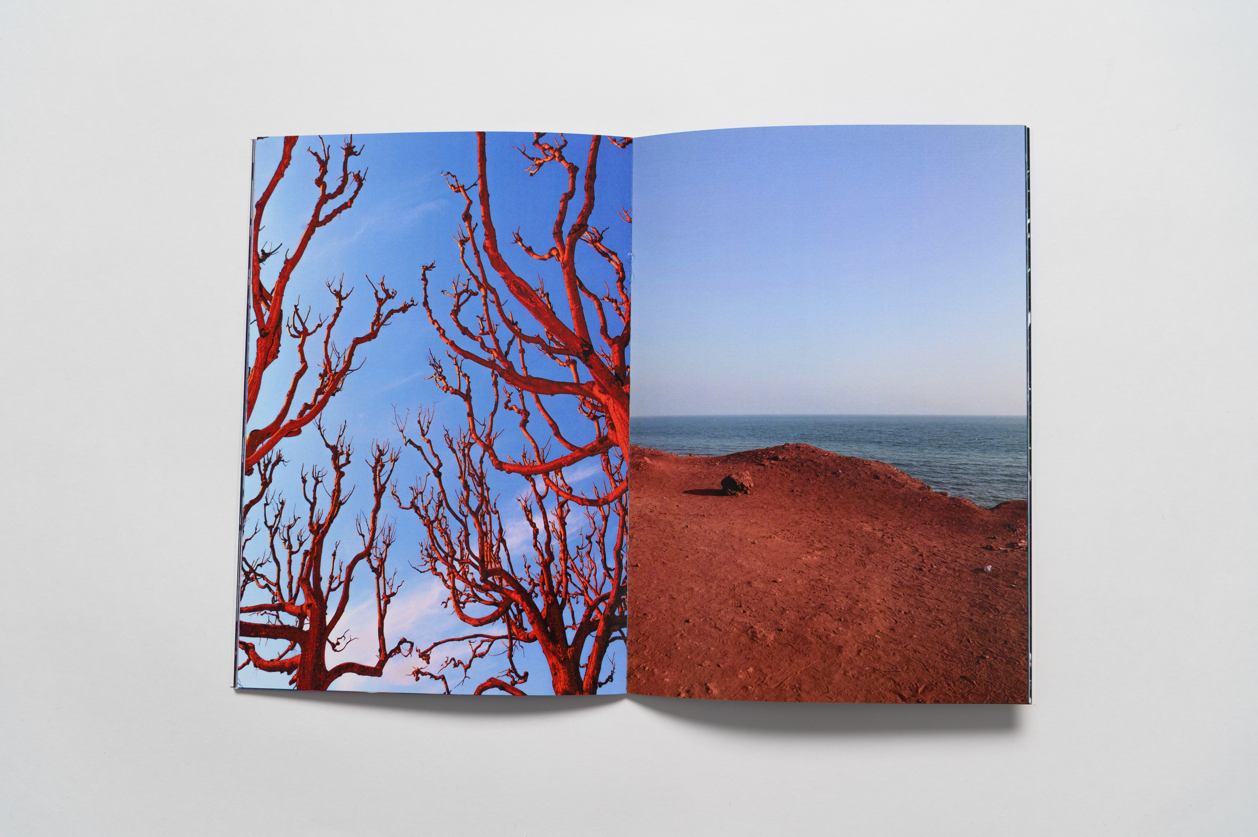 Бег во сне. Мария Ковалевская — фотохудожник