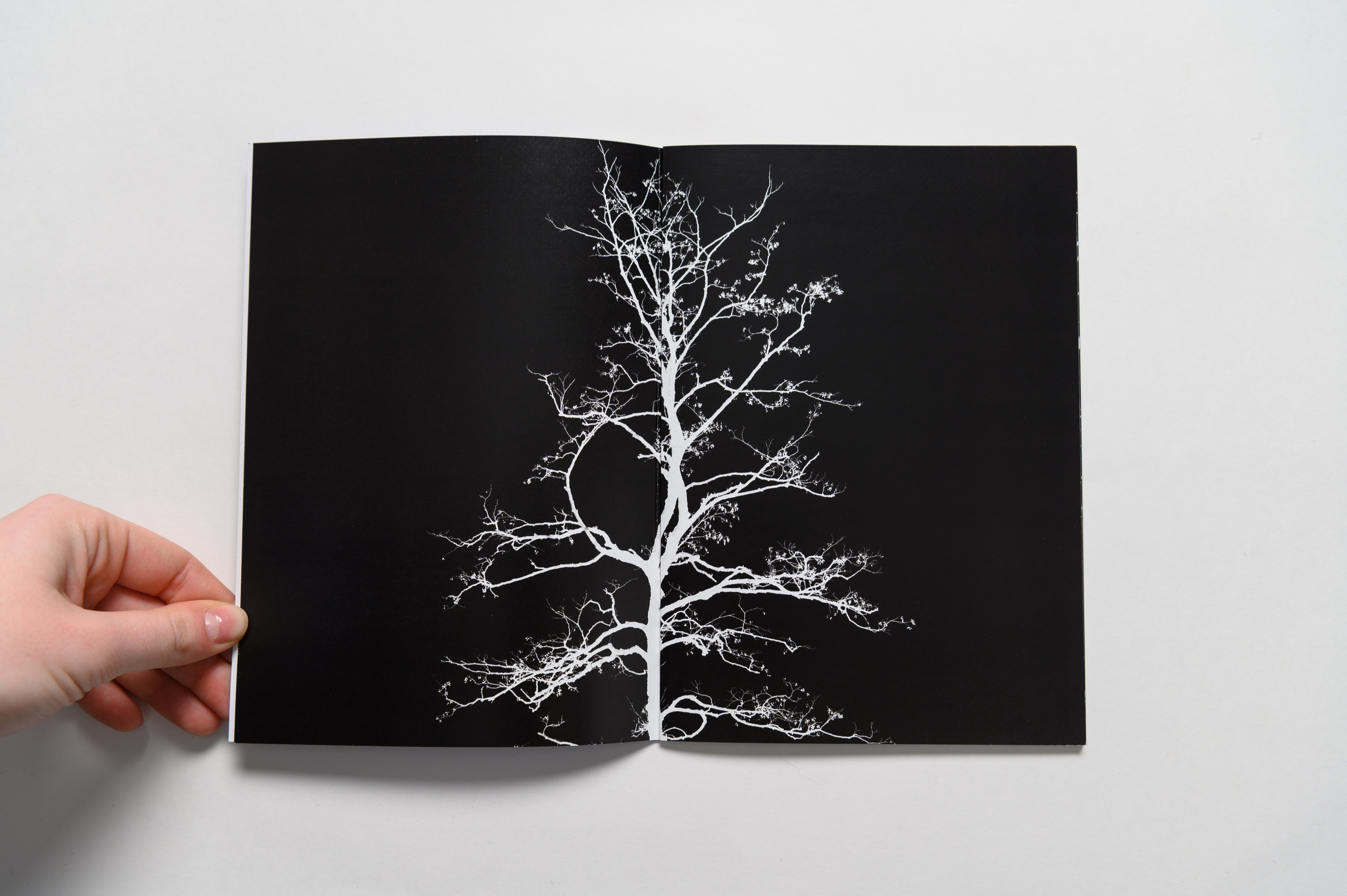 Бег во сне. Мария Ковалевская — фотохудожник