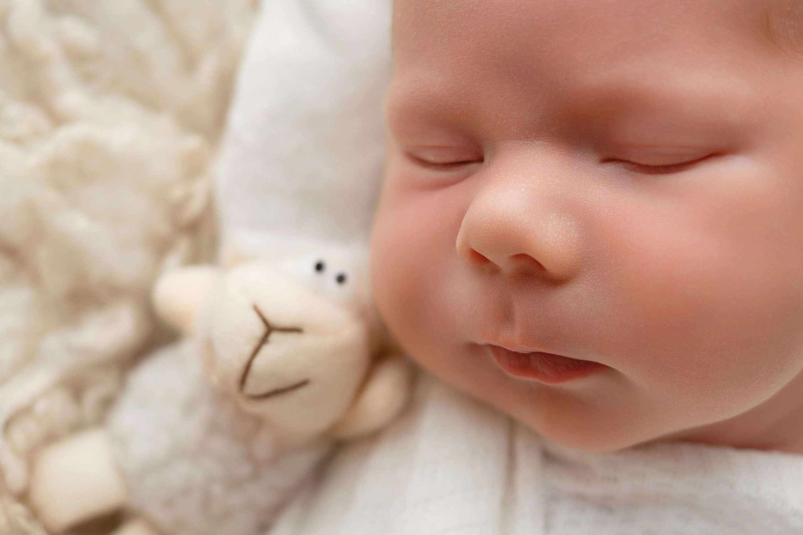 Ньюборн дома, подготовка