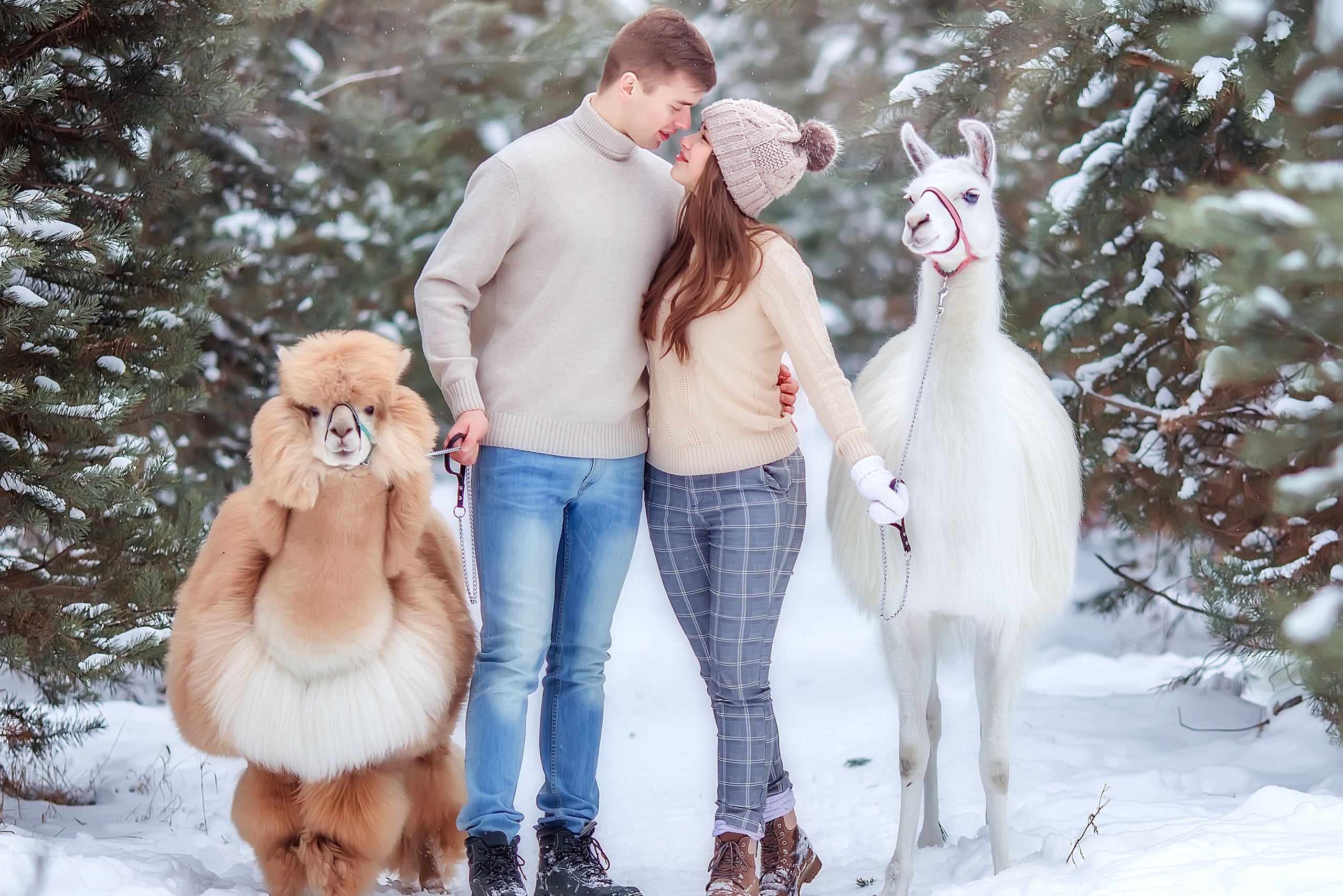 Услуги. Путешествуем вместе