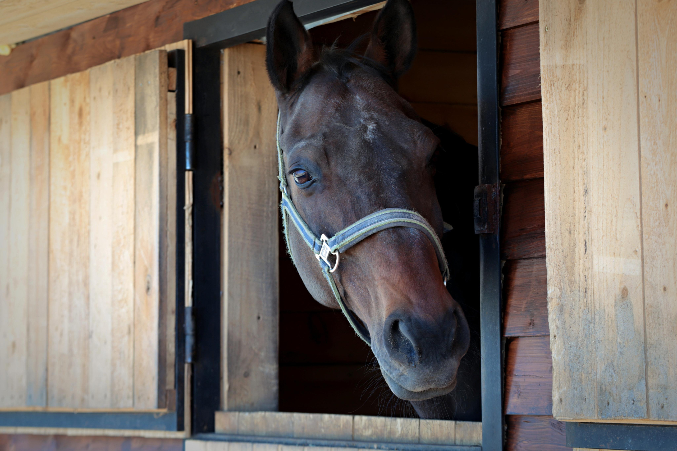 Услуги. Фотограф в Гатчине Анастасия Солодкая