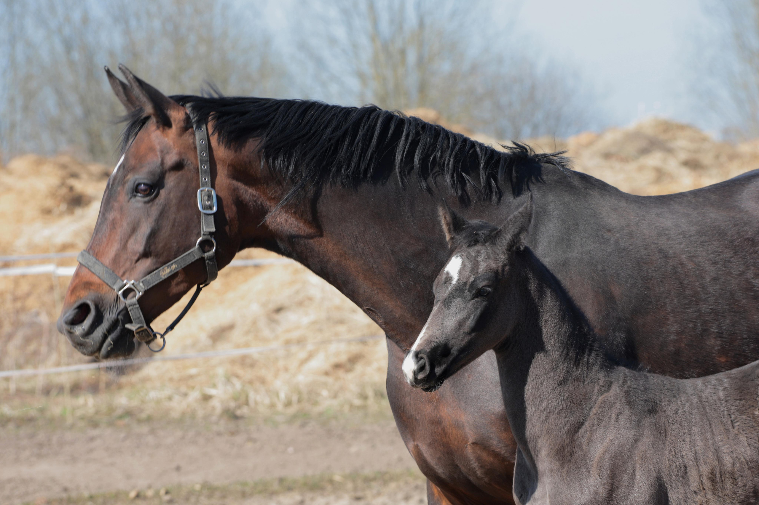 Услуги. Фотограф в Гатчине Анастасия Солодкая