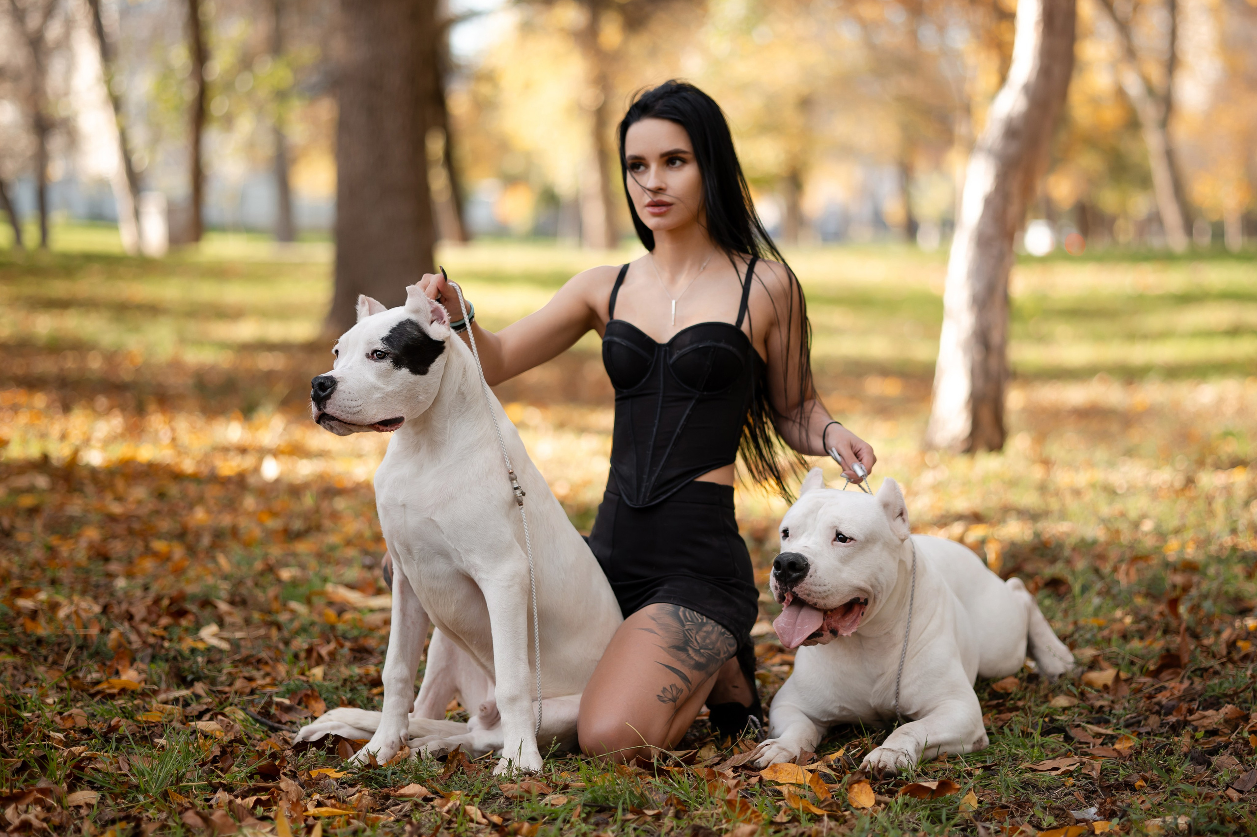 Услуги фотографа. Фотограф-анималист в Краснодаре Маша Мельникова