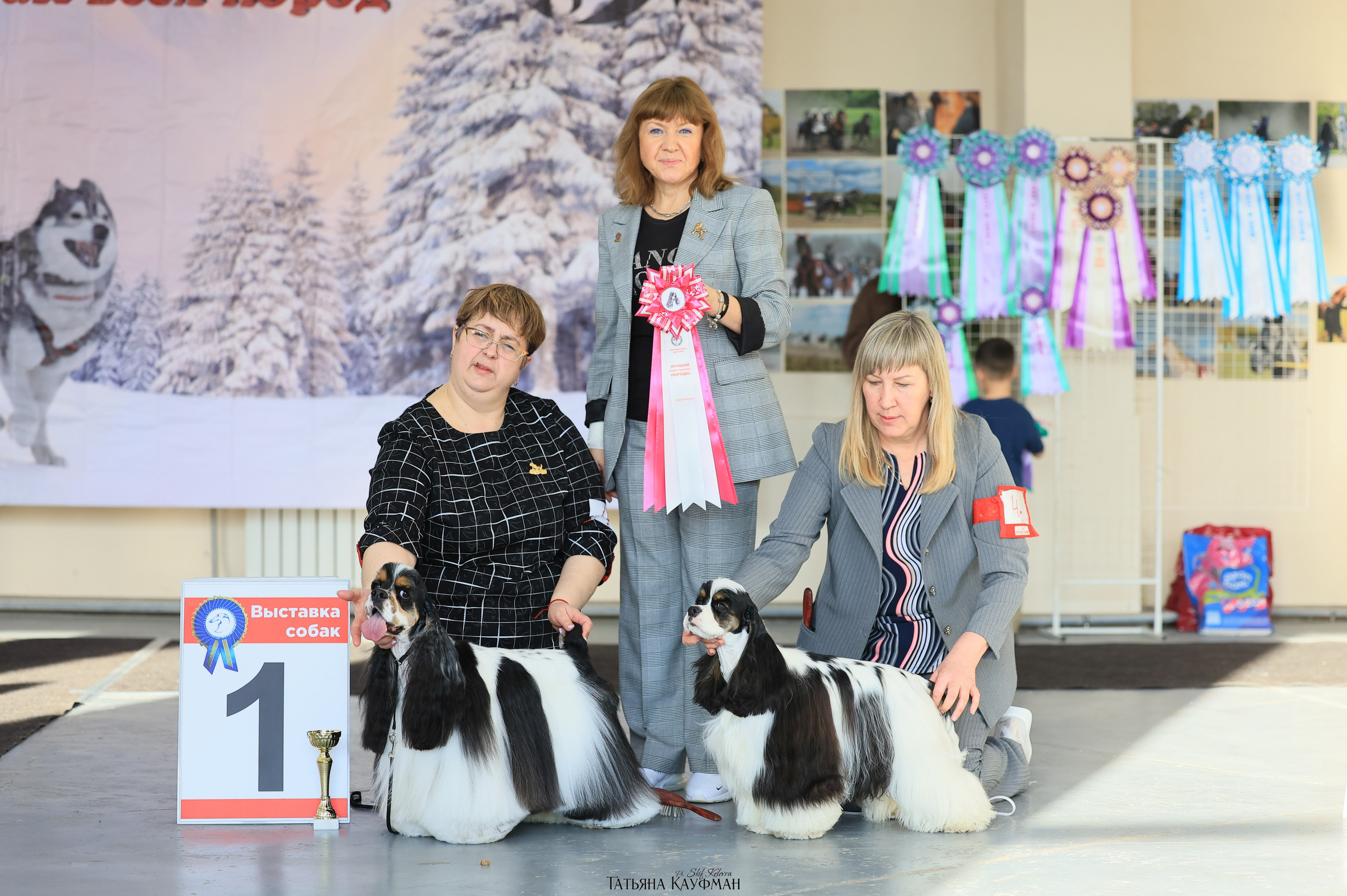 2х выставки собак в Новосибирске «Движение ЧФ». Фотограф Анималист из Новосибирска Татьяна Кауфман