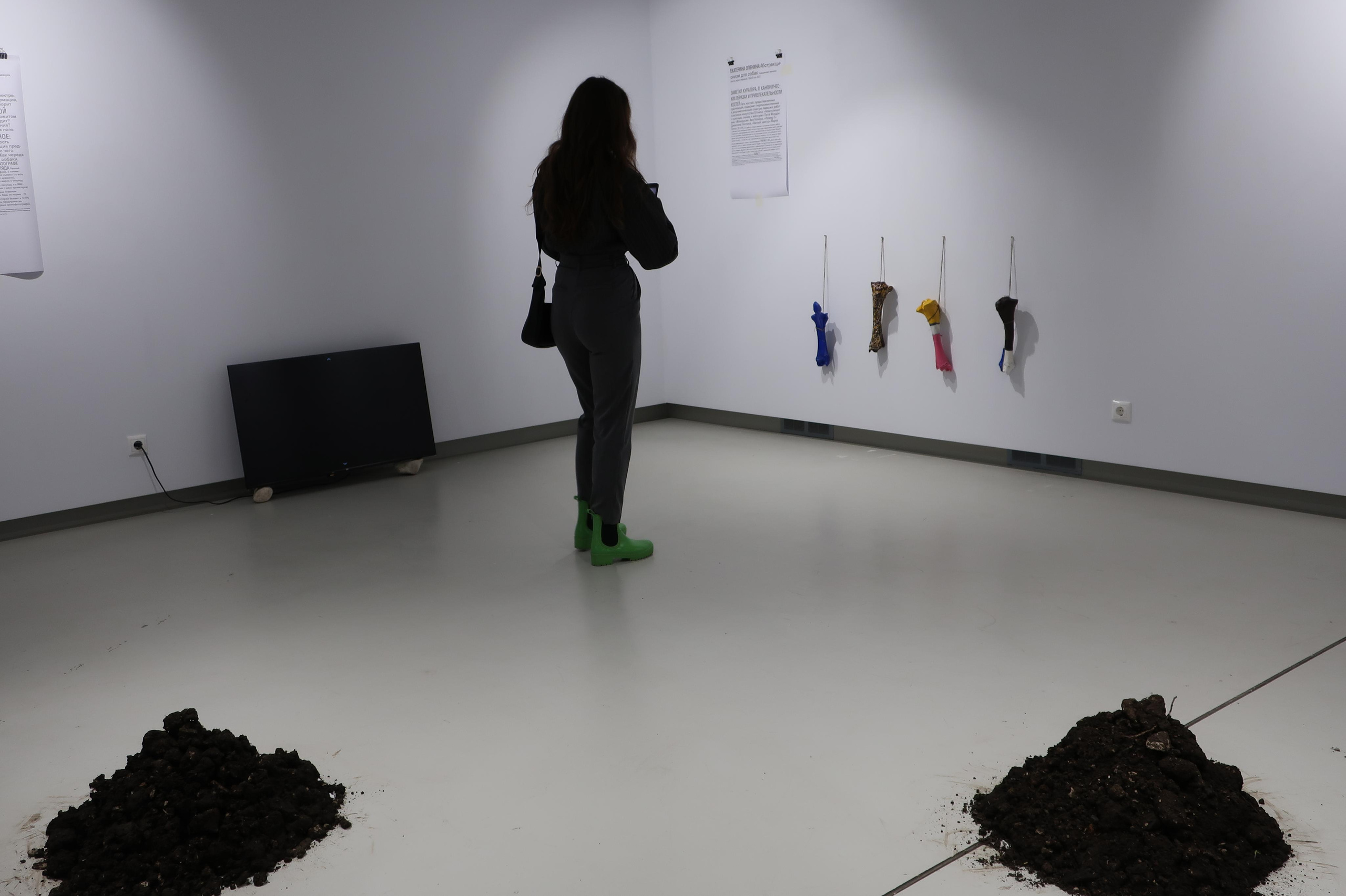 Абстракционизм для собак. Художник Екатерина Оленина