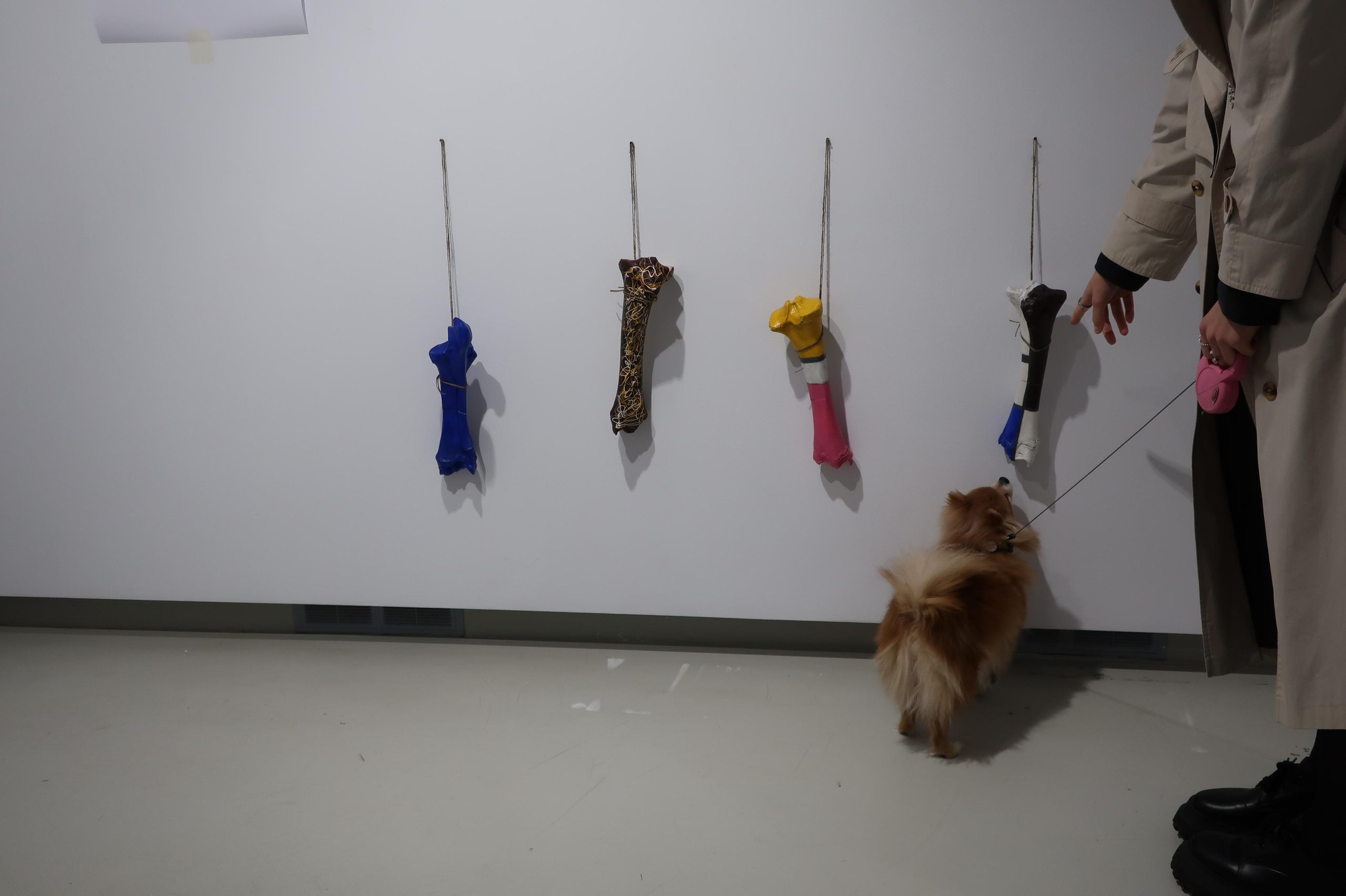 Абстракционизм для собак. Художник Екатерина Оленина