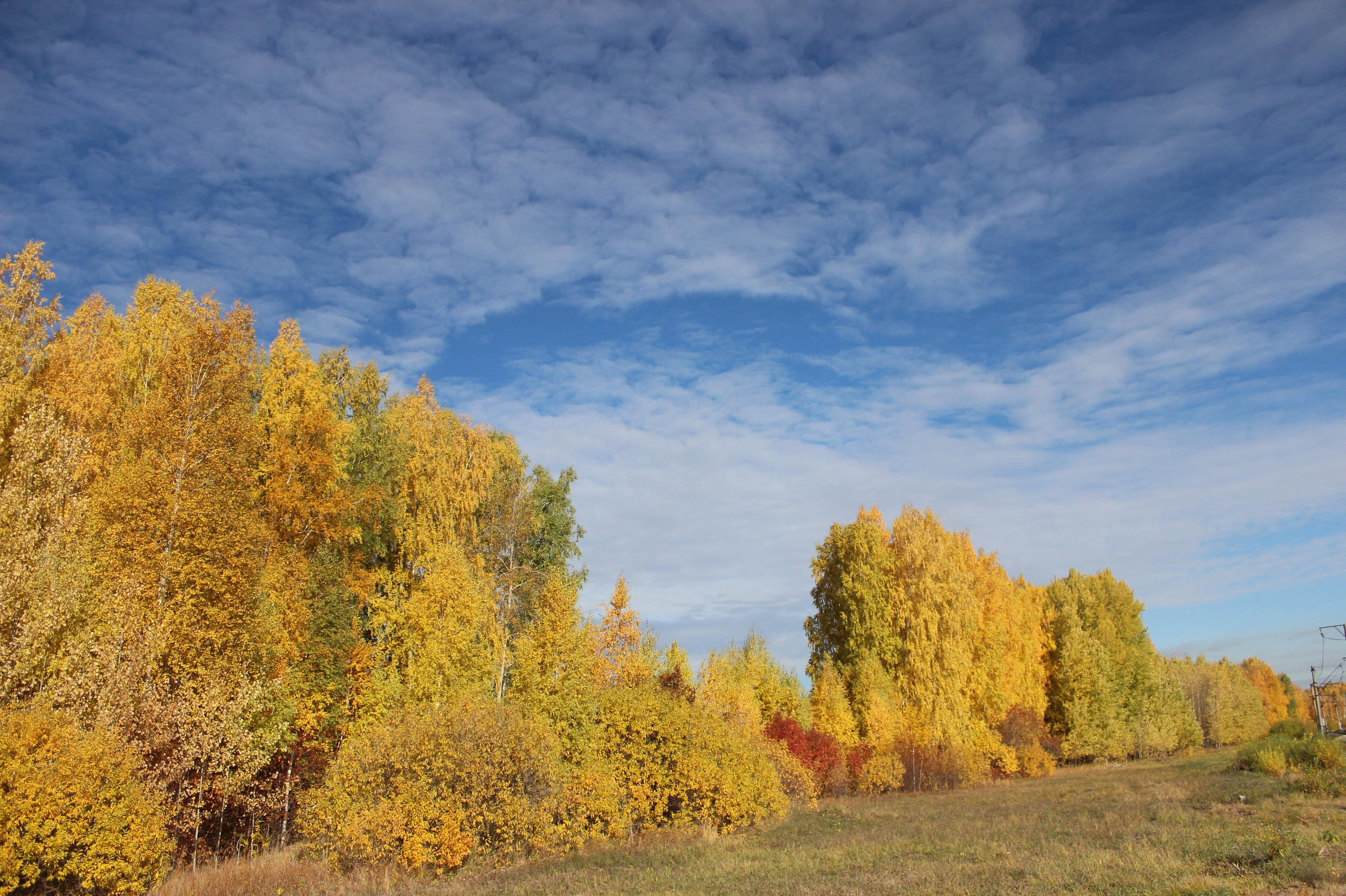 Услуги. Фотограф в Богдановиче Анна Сантяпова
