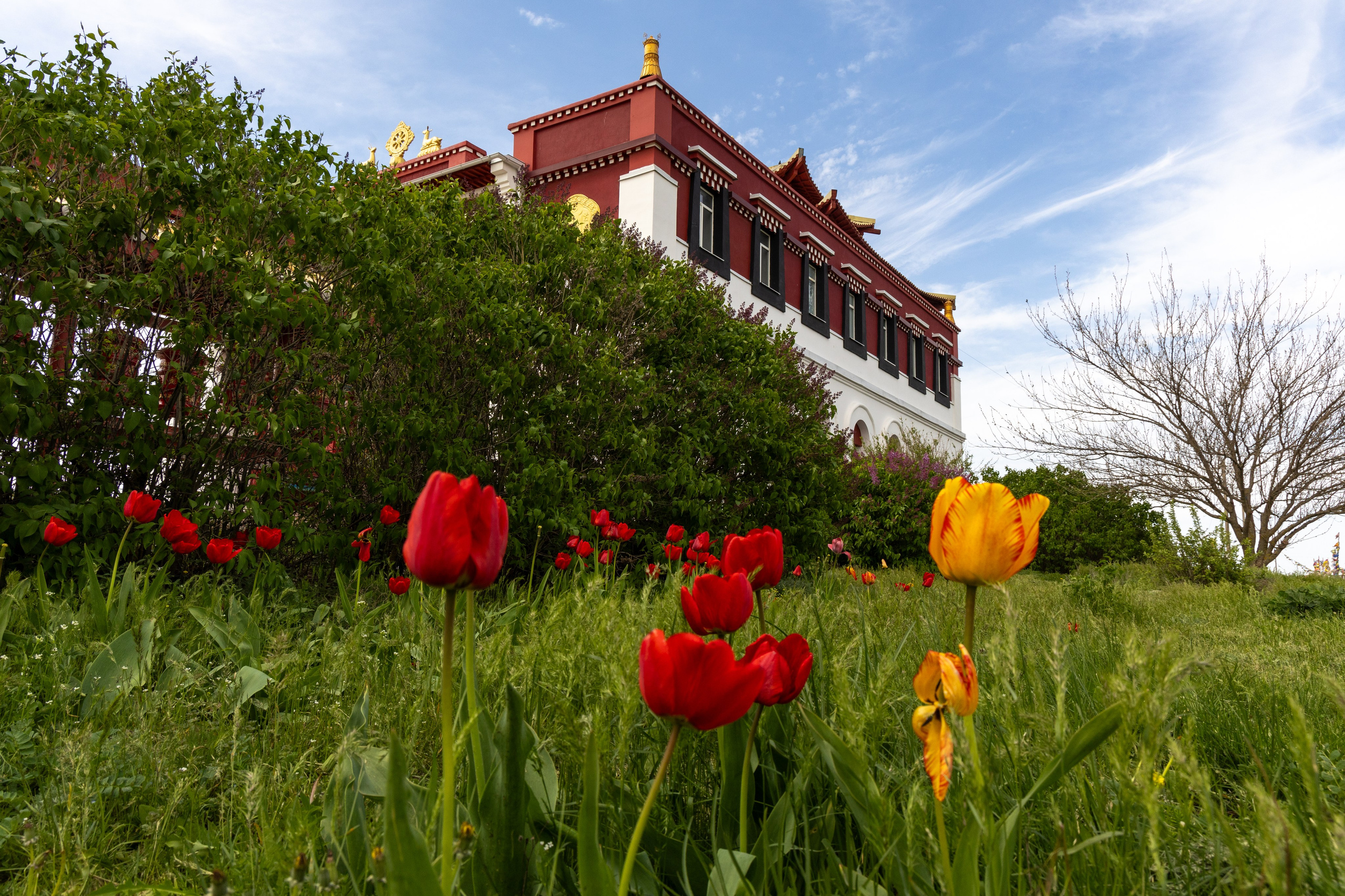Республика Калмыкия. Фотограф Александр Головин