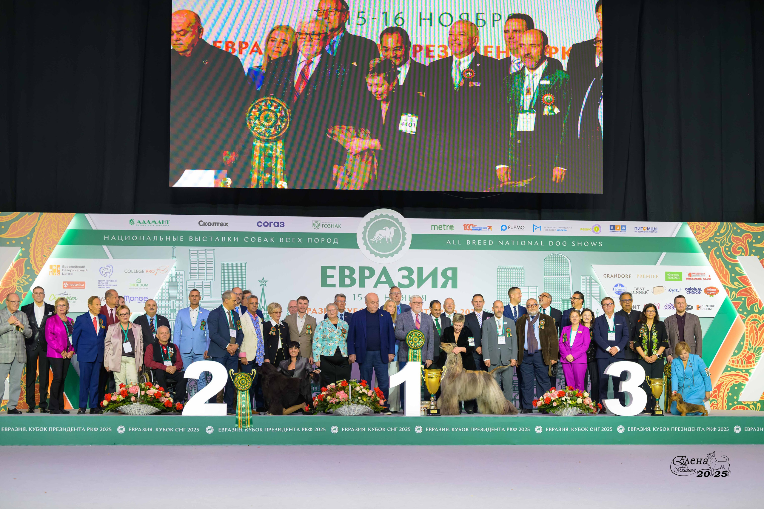 15-16.11.2025 ЕВРАЗИЯ г. Москва. Фотограф анималист Елена Галдина г. Красноярск