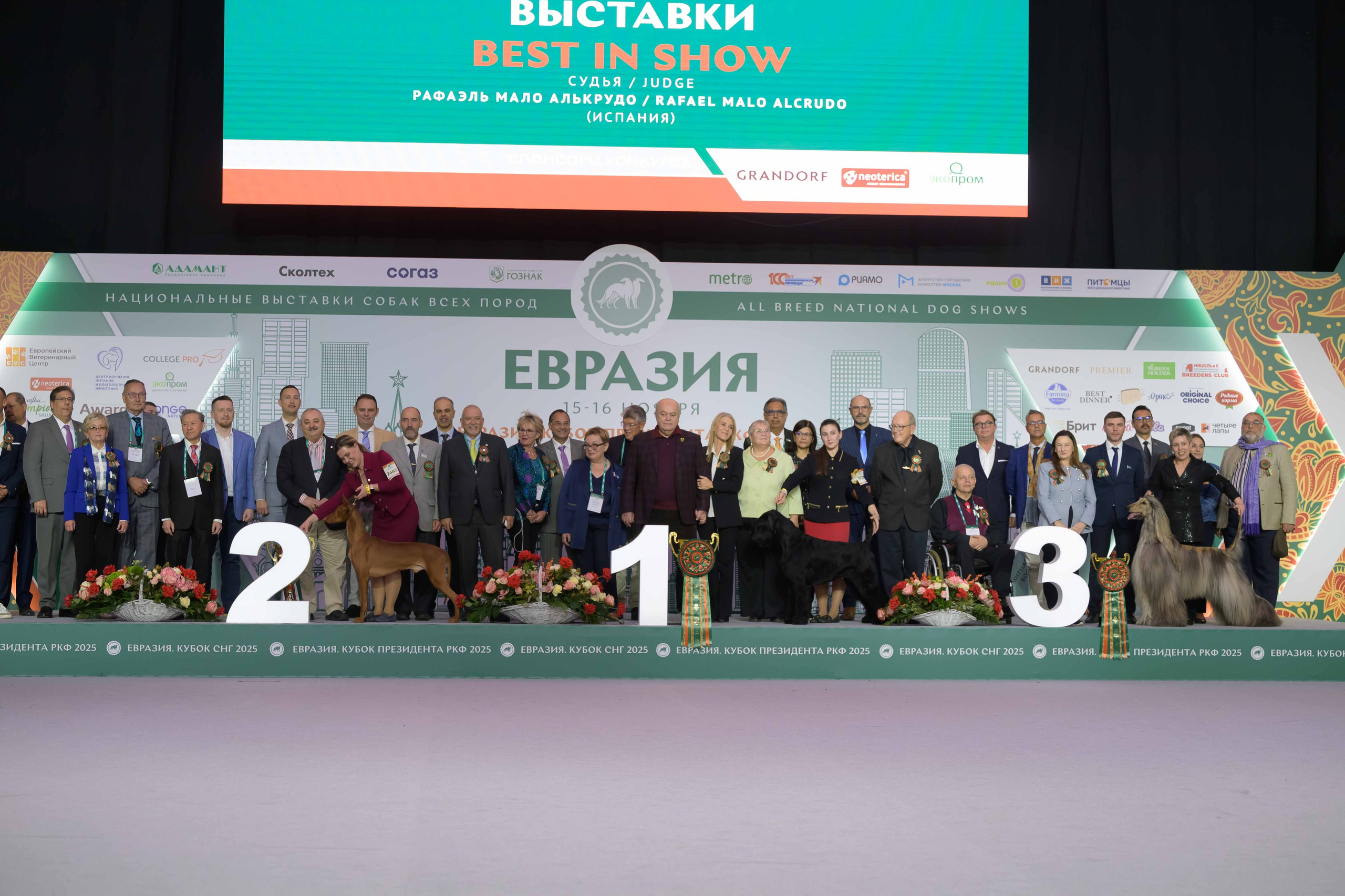 15-16.11.2025 ЕВРАЗИЯ г. Москва. Фотограф анималист Елена Галдина г. Красноярск