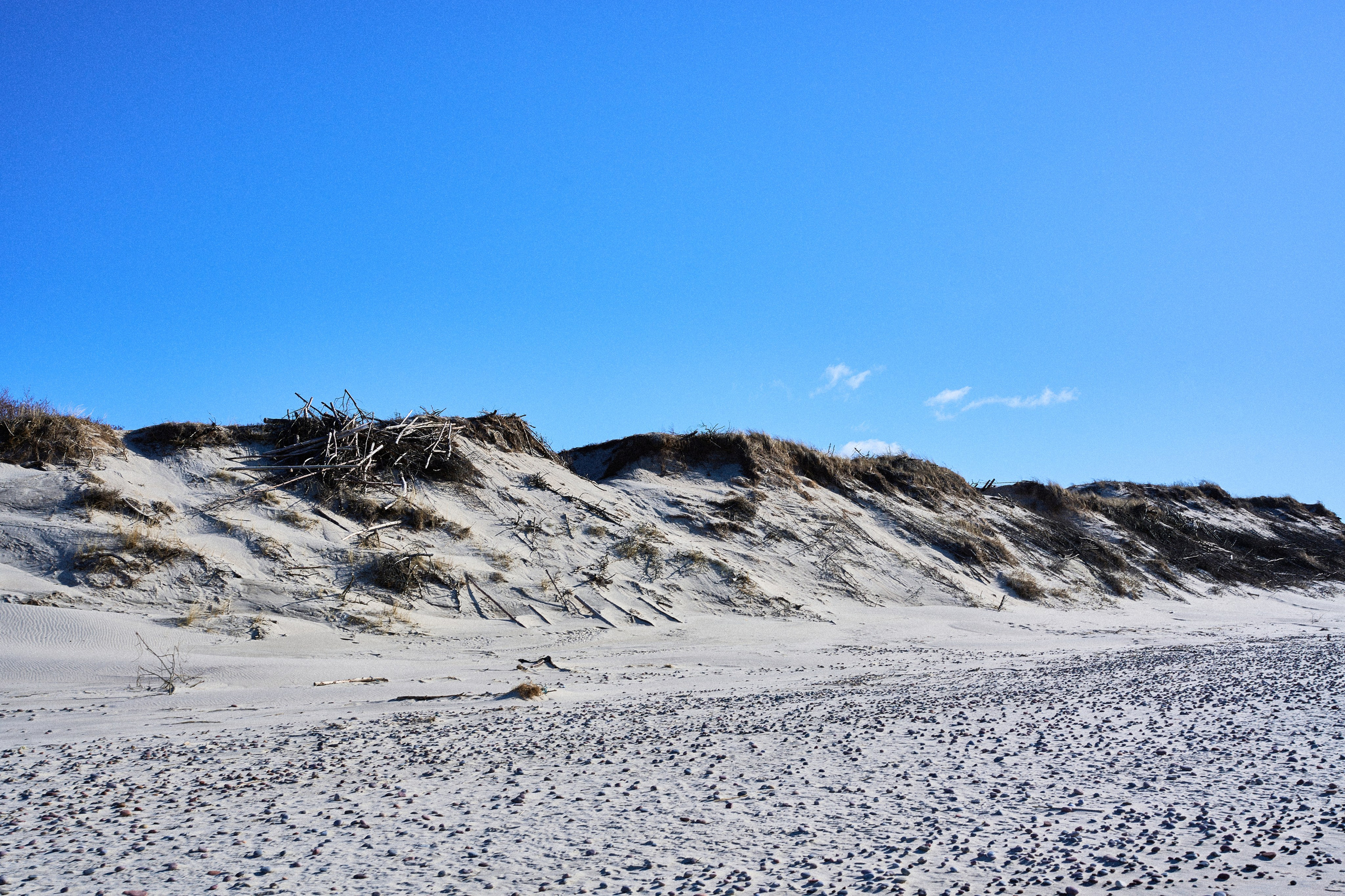 Куршская коса. Фотограф в Москве Анастасия Баева