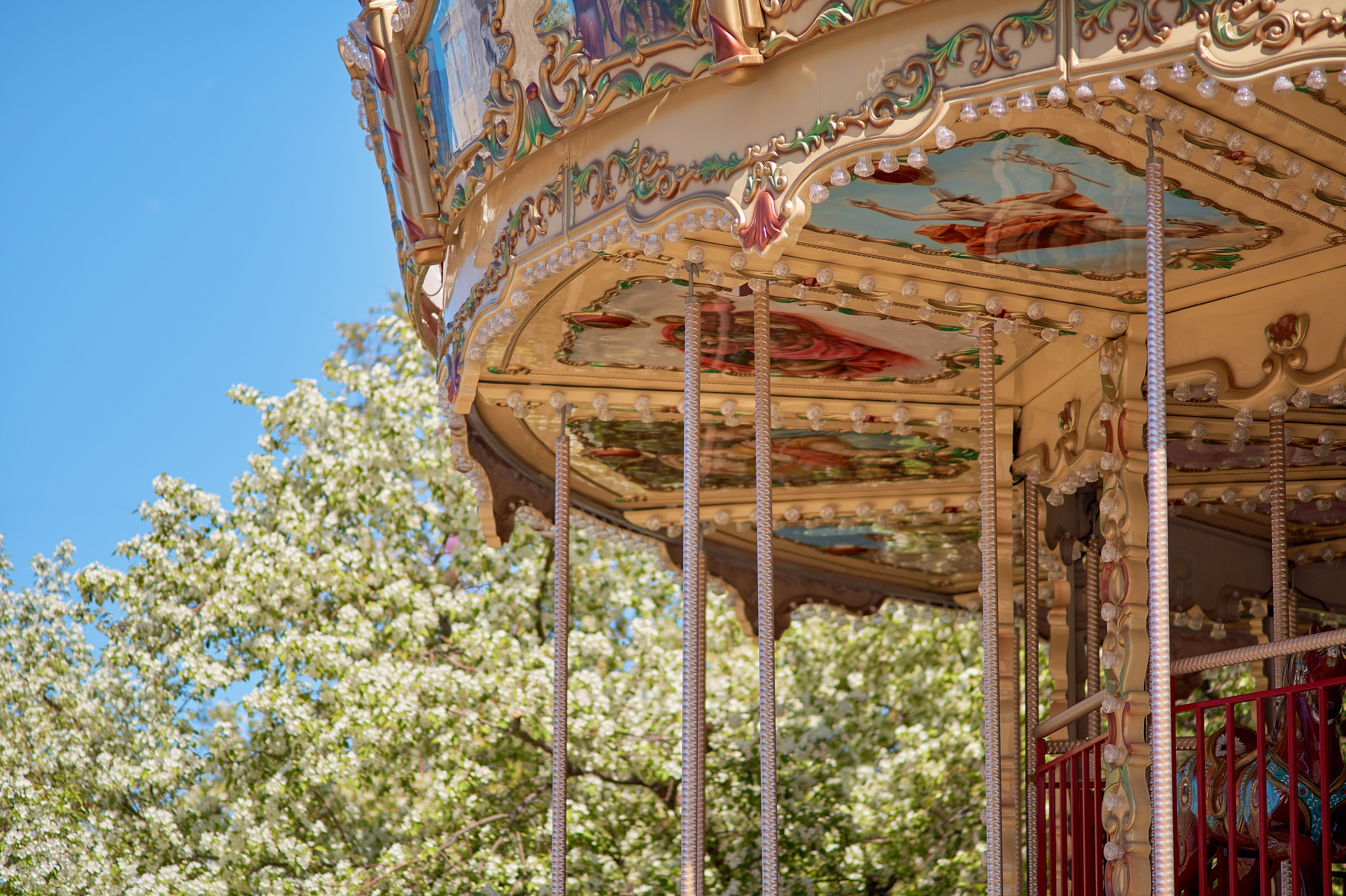 Цветение яблонь. Фотограф в Москве Анастасия Баева