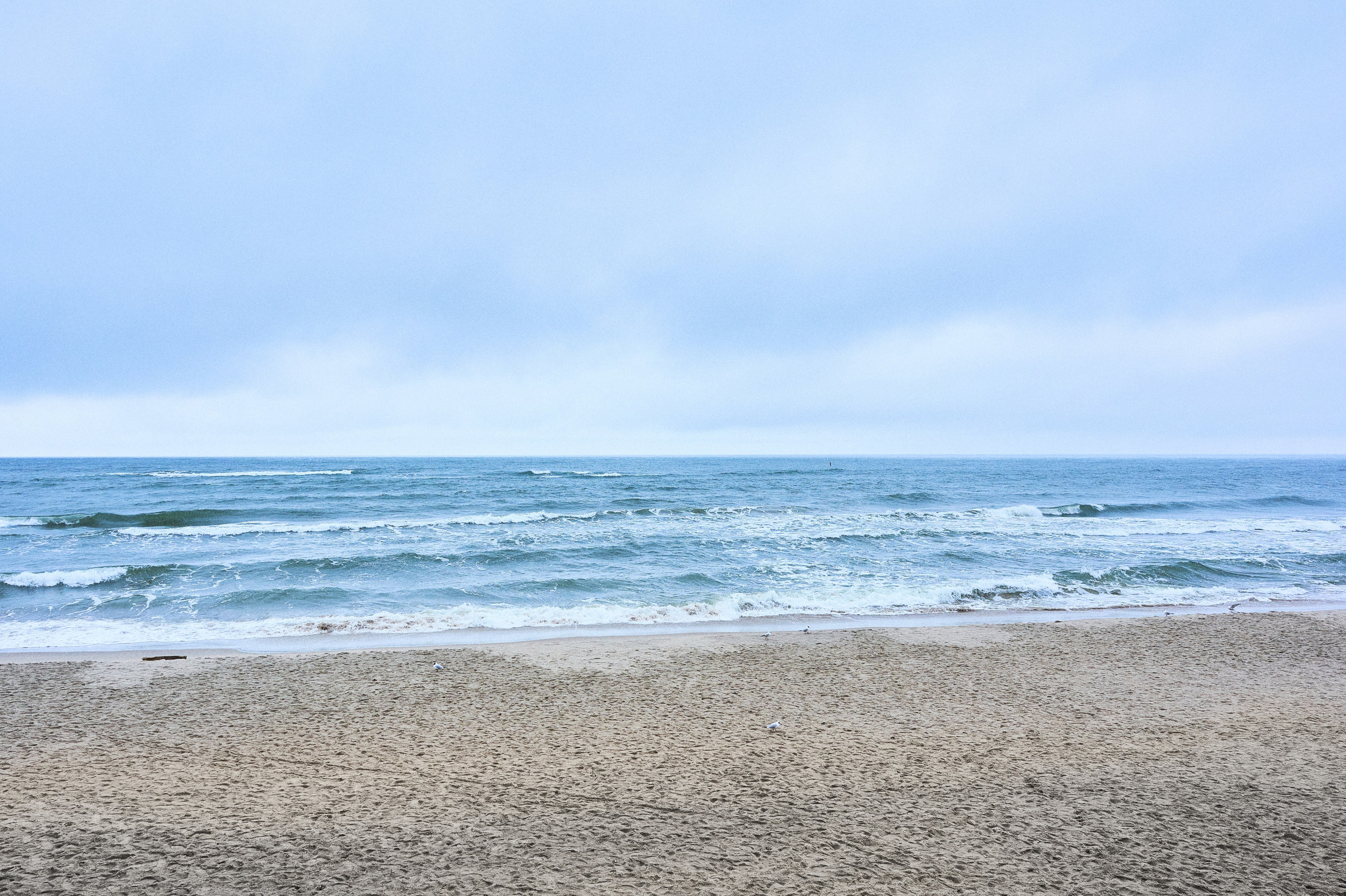 Светлогорск. Фотограф в Москве Анастасия Баева