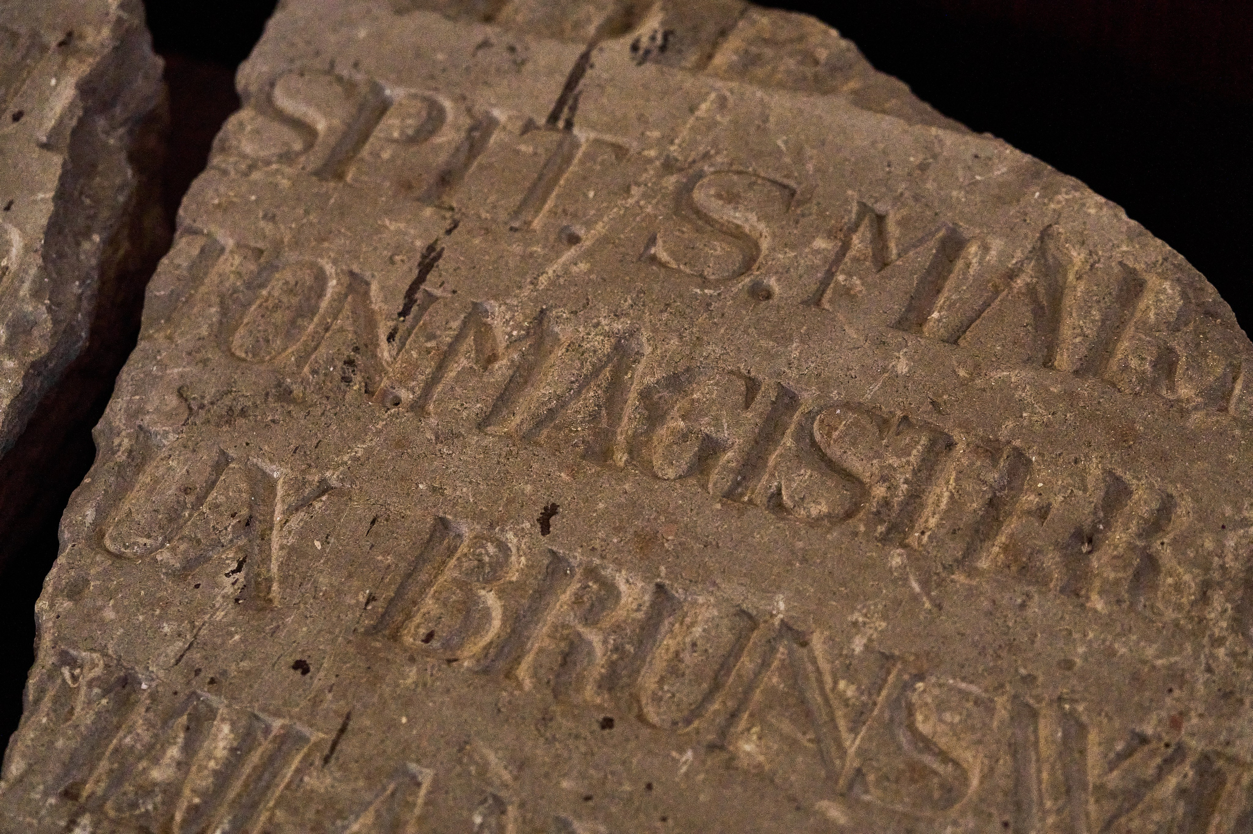 Кафедральный собор. Фотограф в Москве Анастасия Баева