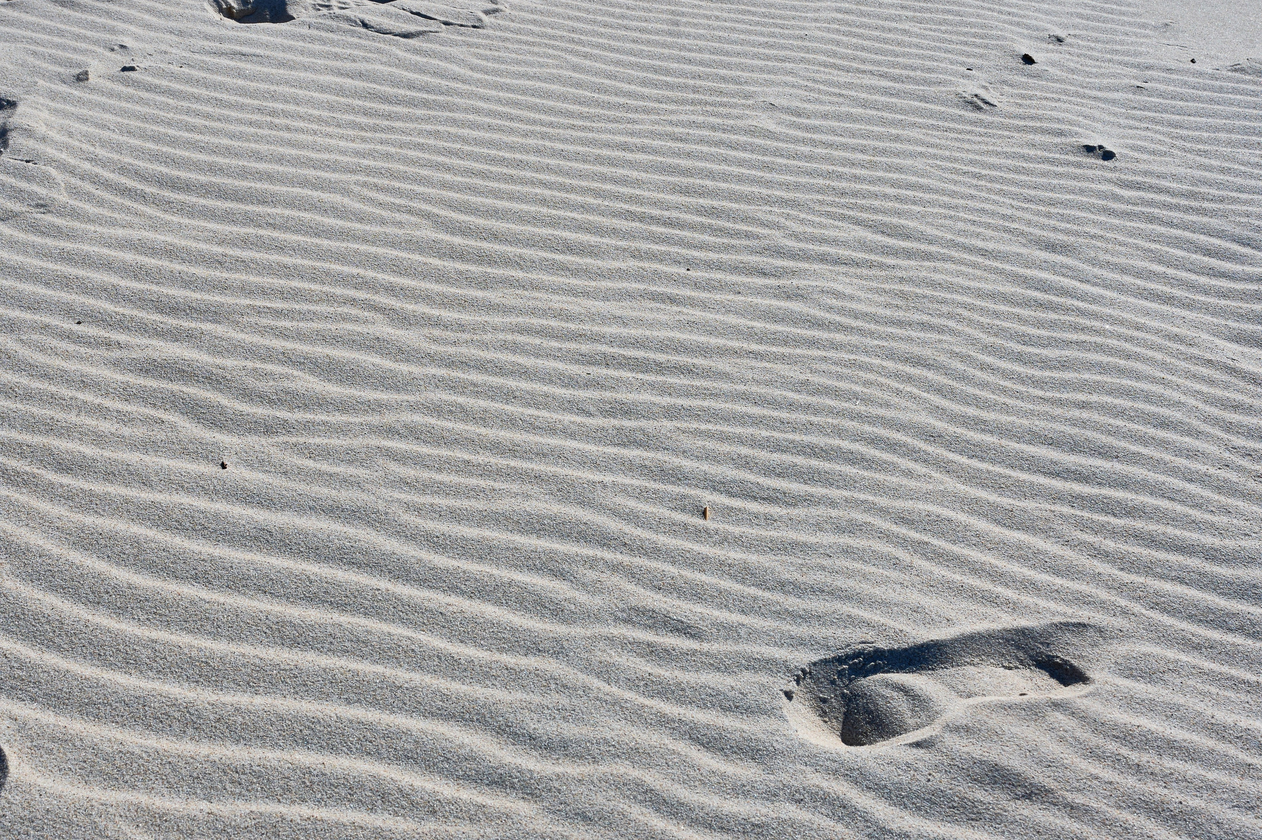 Куршская коса. Фотограф в Москве Анастасия Баева