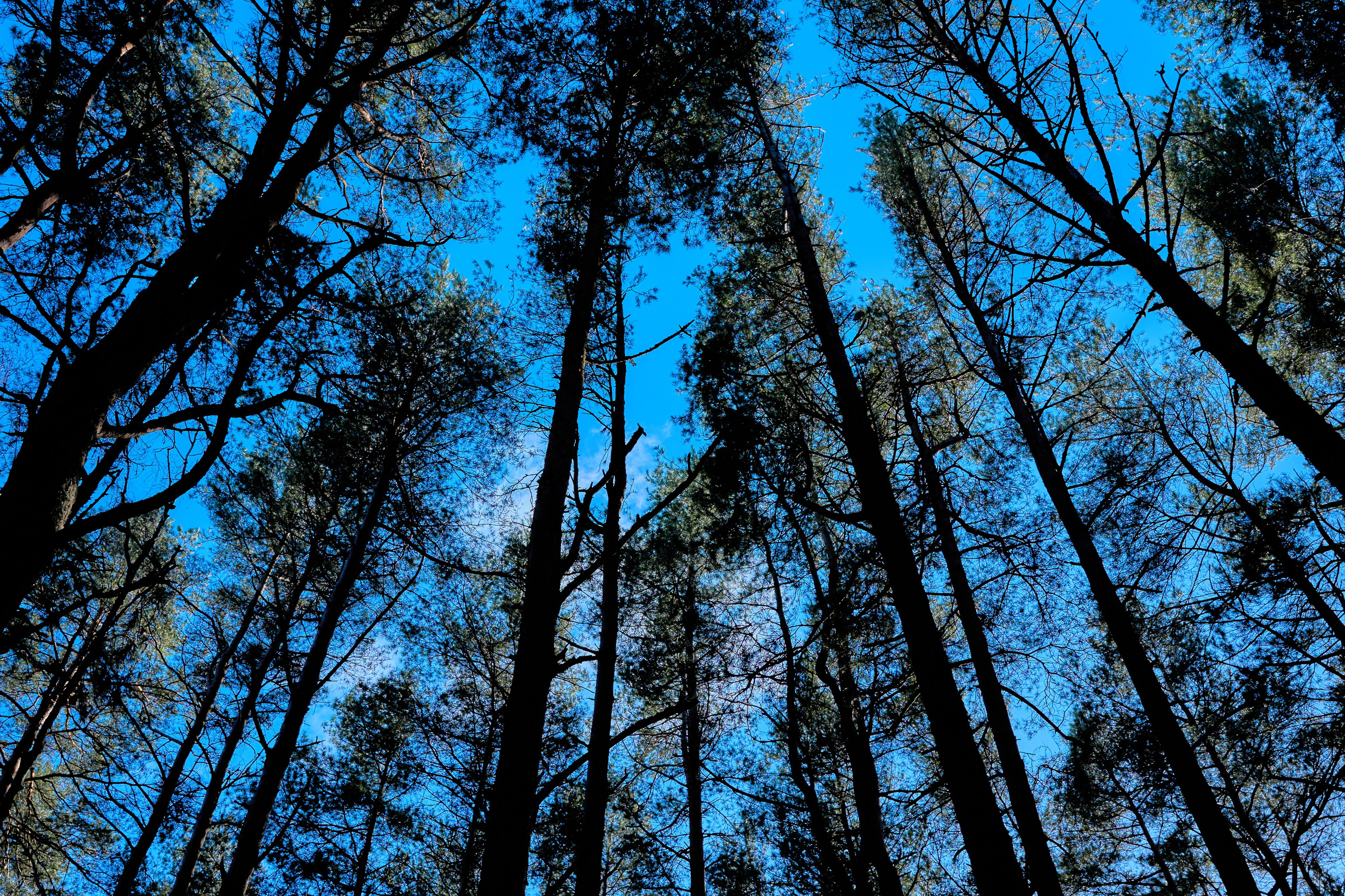 Высота Эфа. Фотограф в Москве Анастасия Баева