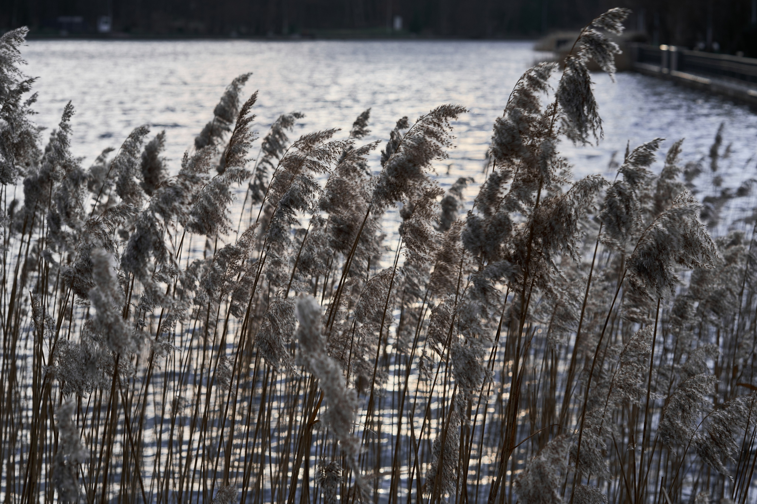 Снова Светлогорск. Фотограф в Москве Анастасия Баева