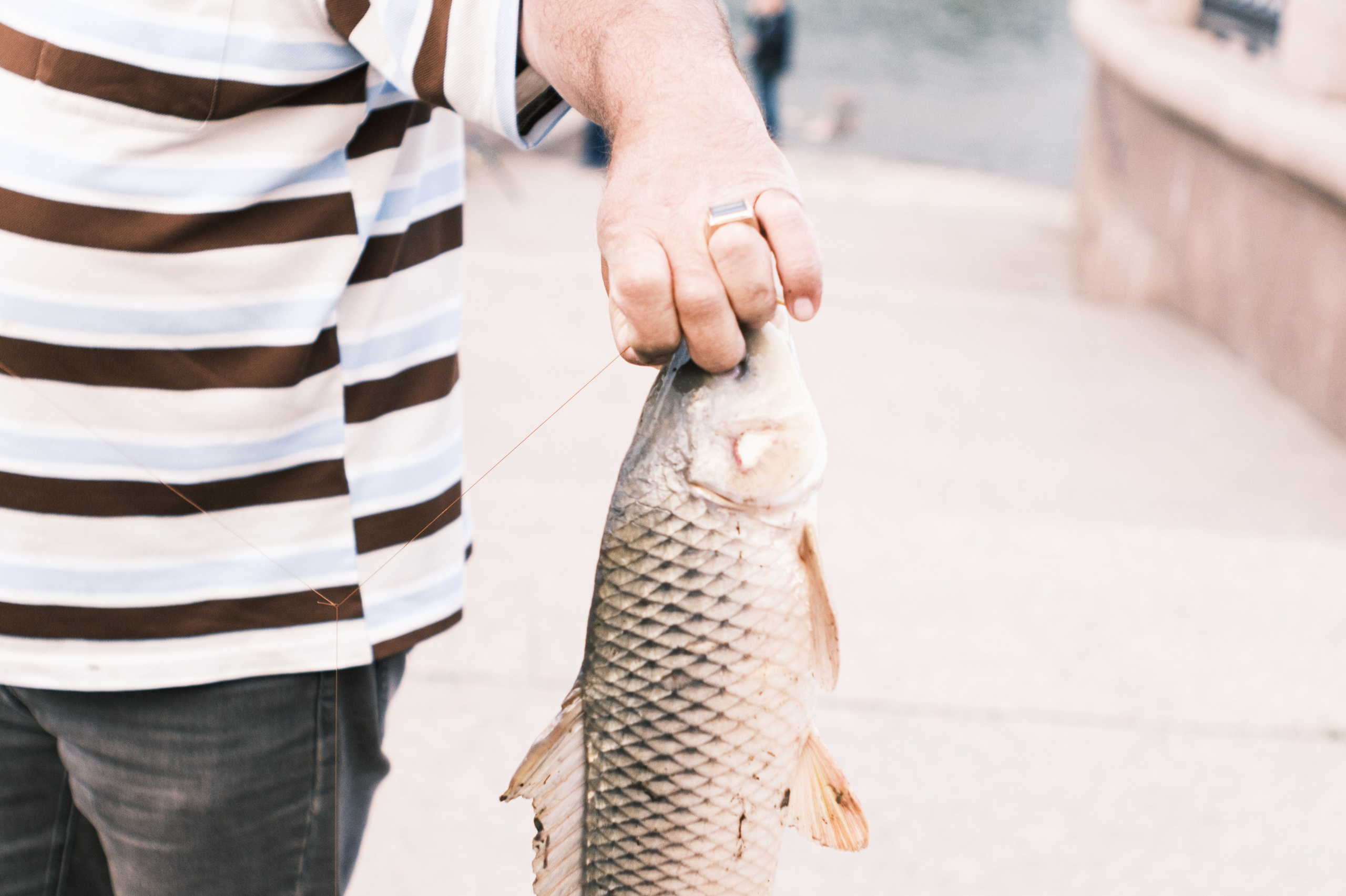 Астрахань. Сайт фотографа Дмитрия Батенёва
