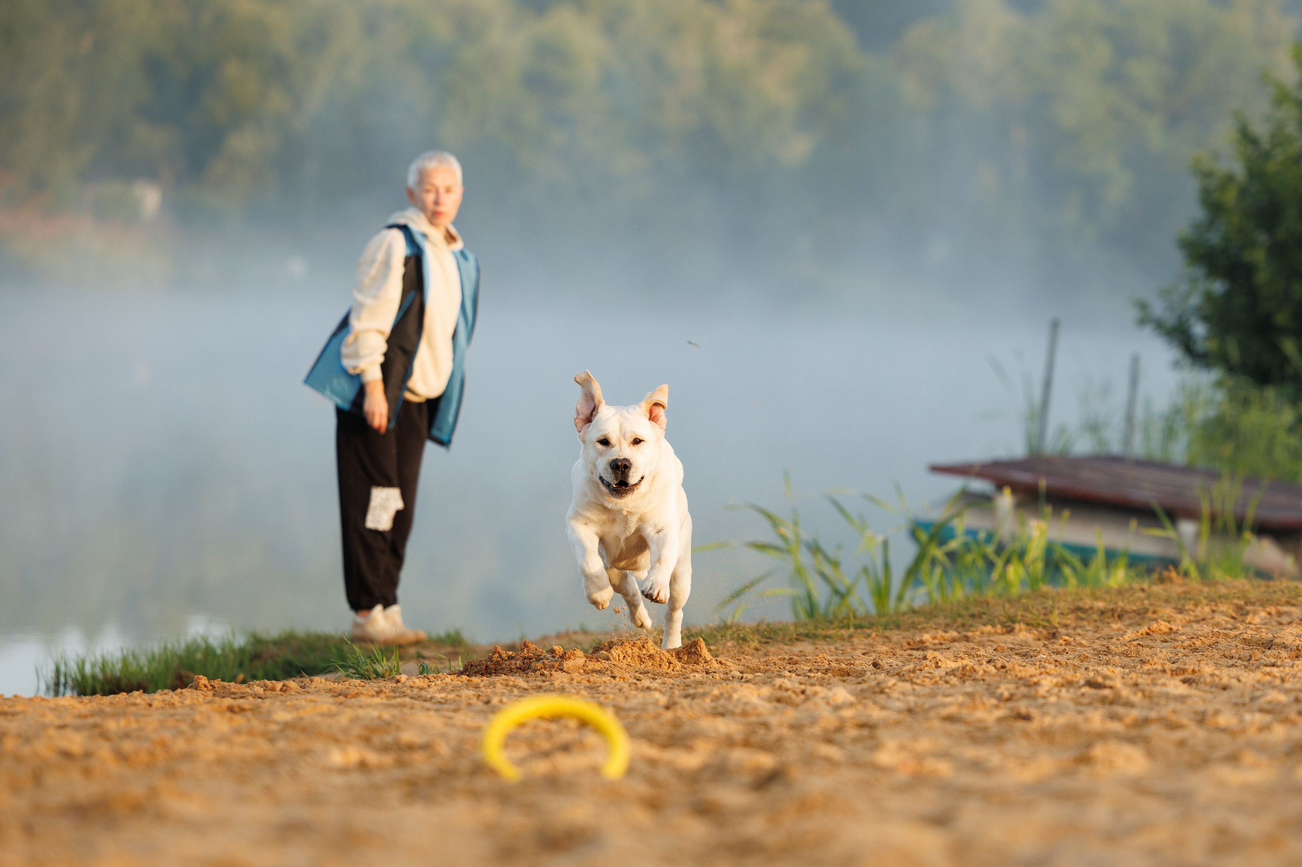 Фотограф-анималист в Москве и Подмосковье — профессиональная съёмка животных. Фотограф-анималист и бренд-фотограф в Москве | Фотография собак, людей, бизнес-портрет