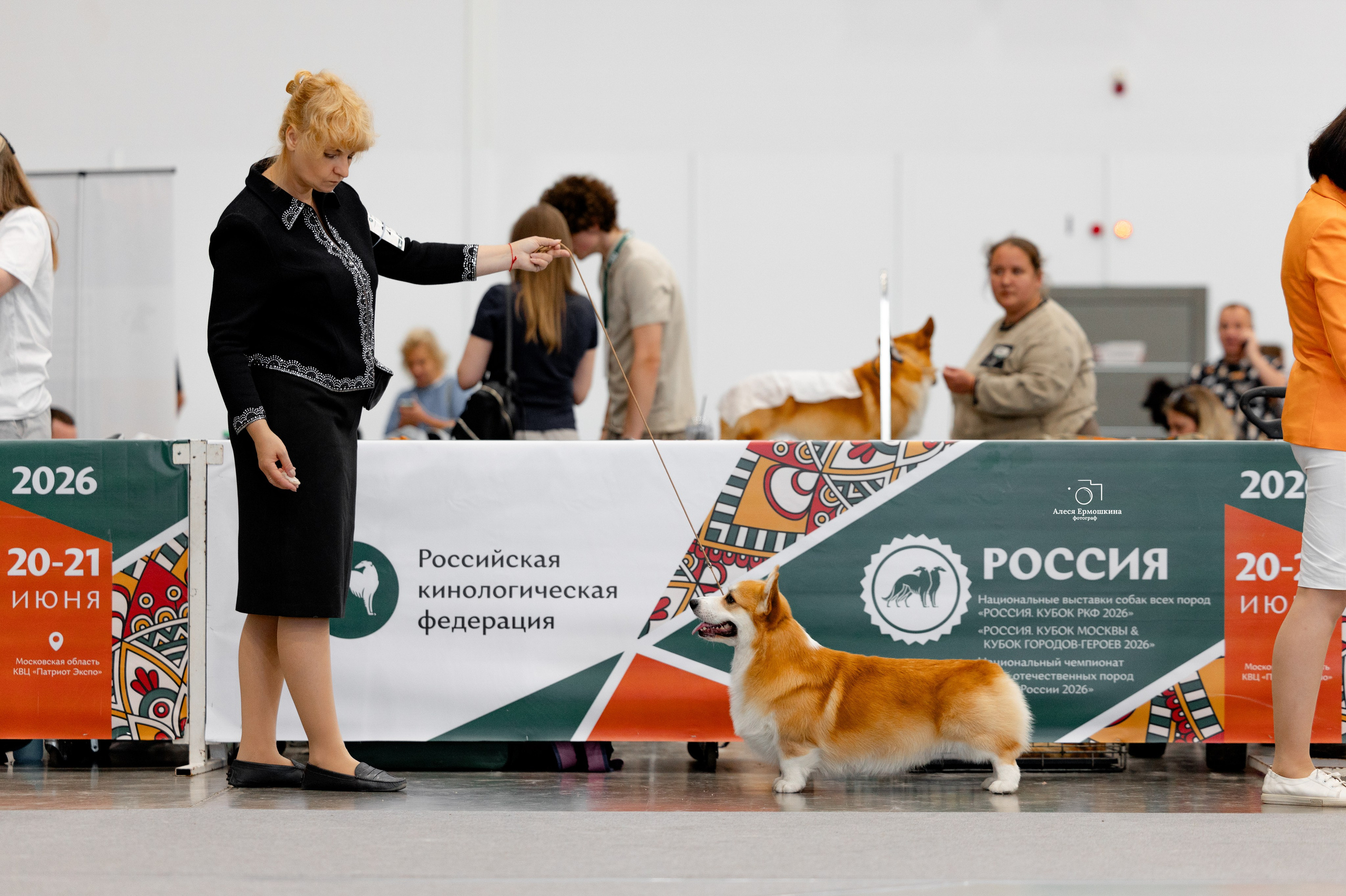 Фотограф-анималист в Москве и Подмосковье — профессиональная съёмка животных. Фотограф-анималист и бренд-фотограф в Москве | Фотография собак, людей, бизнес-портрет
