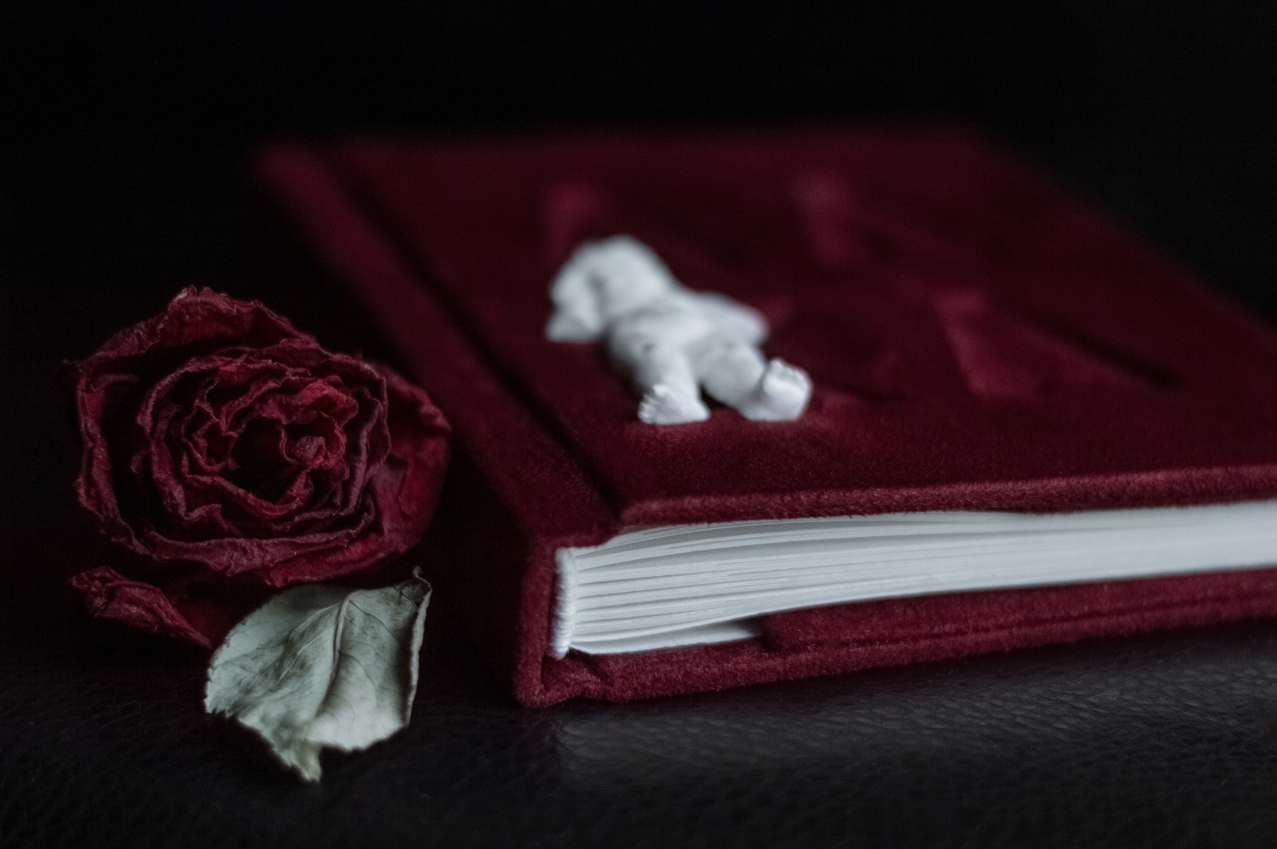 Фотоальбомы. Анастасия — фотограф