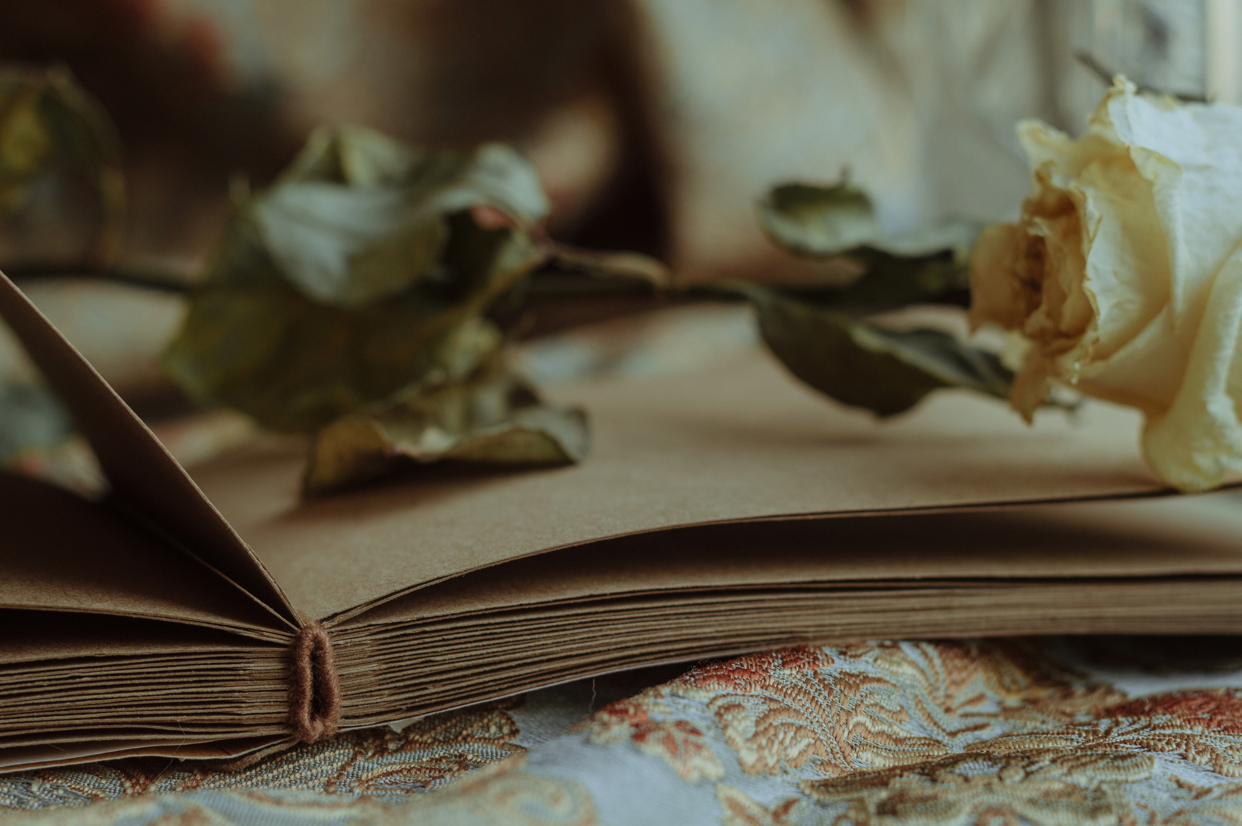 Фотоальбомы. Анастасия — фотограф