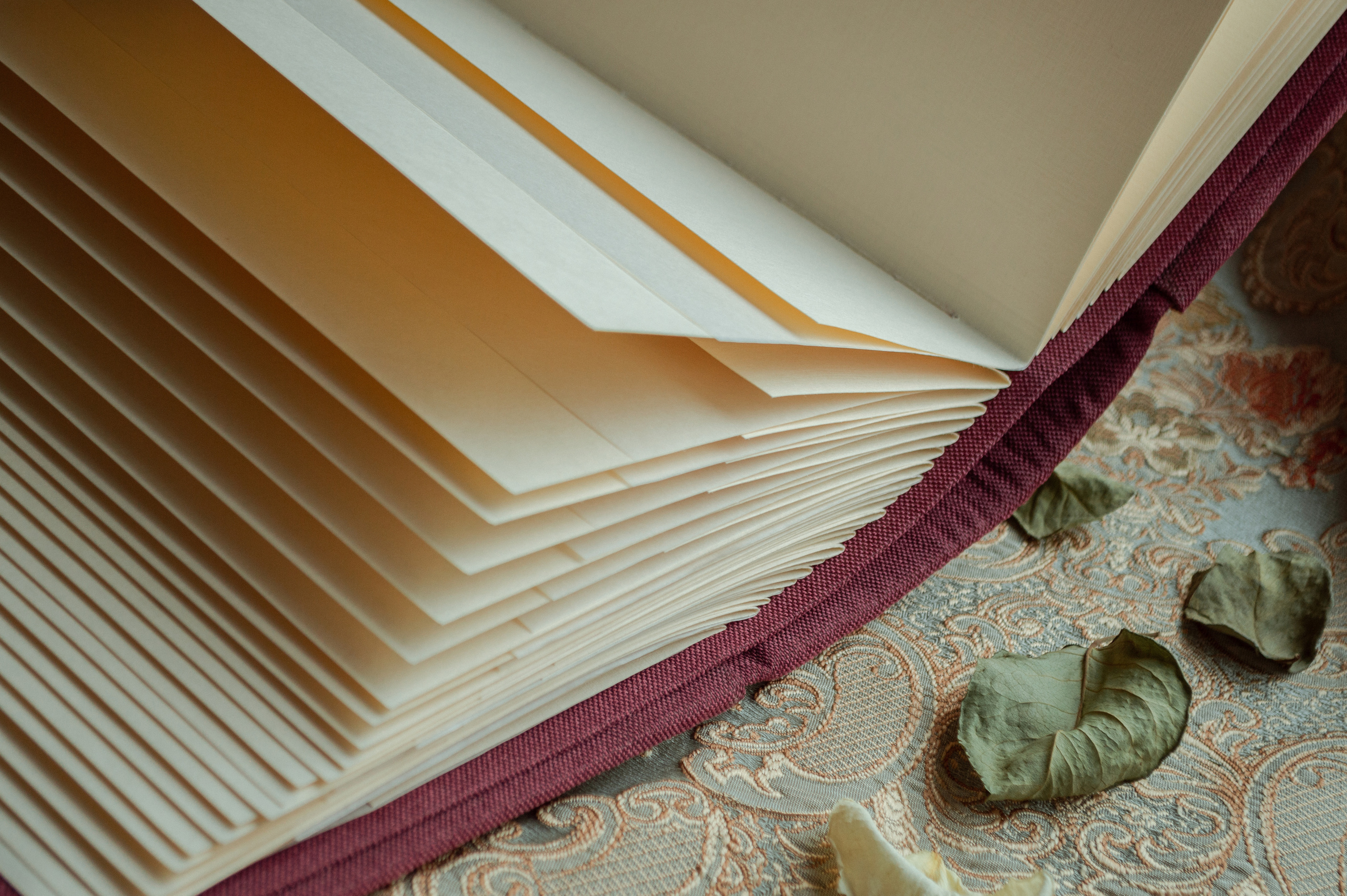 Фотоальбомы. Анастасия — фотограф