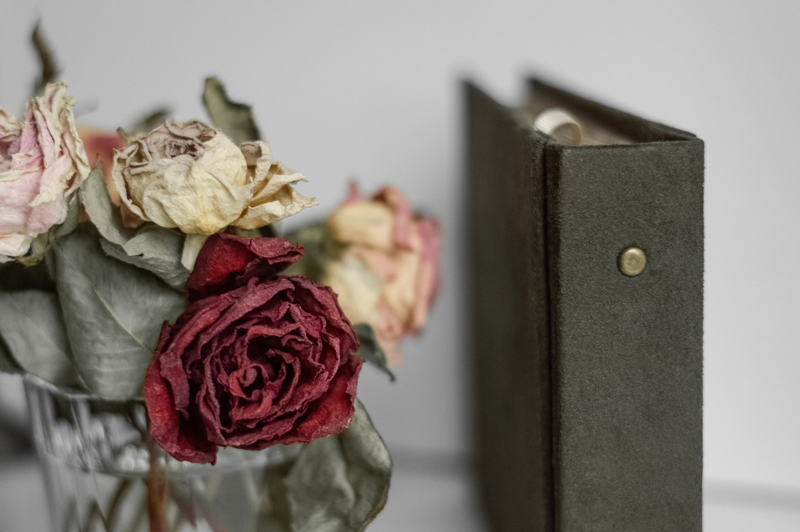 Фотоальбомы. Анастасия — фотограф