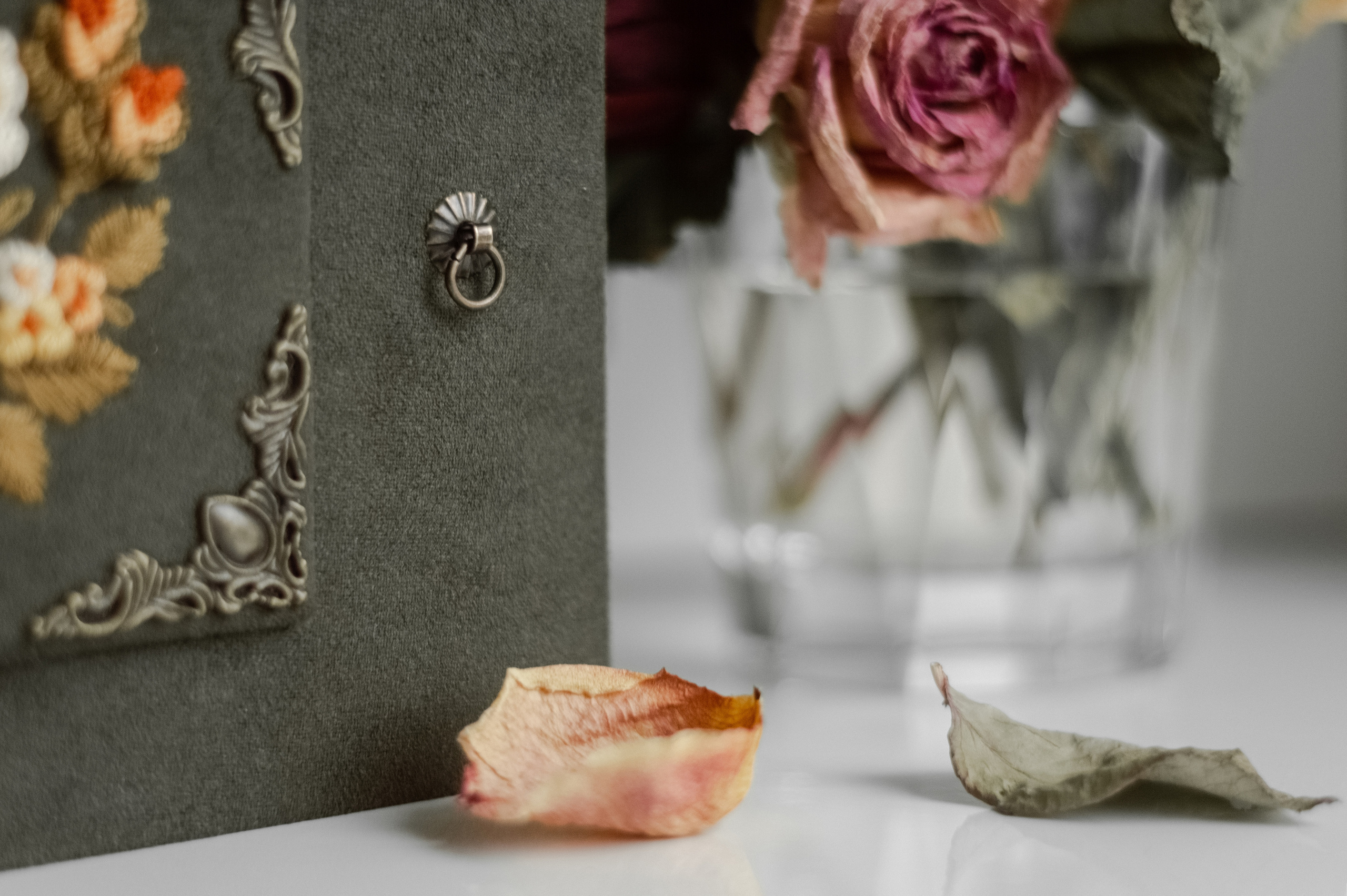 Фотоальбомы. Анастасия — фотограф