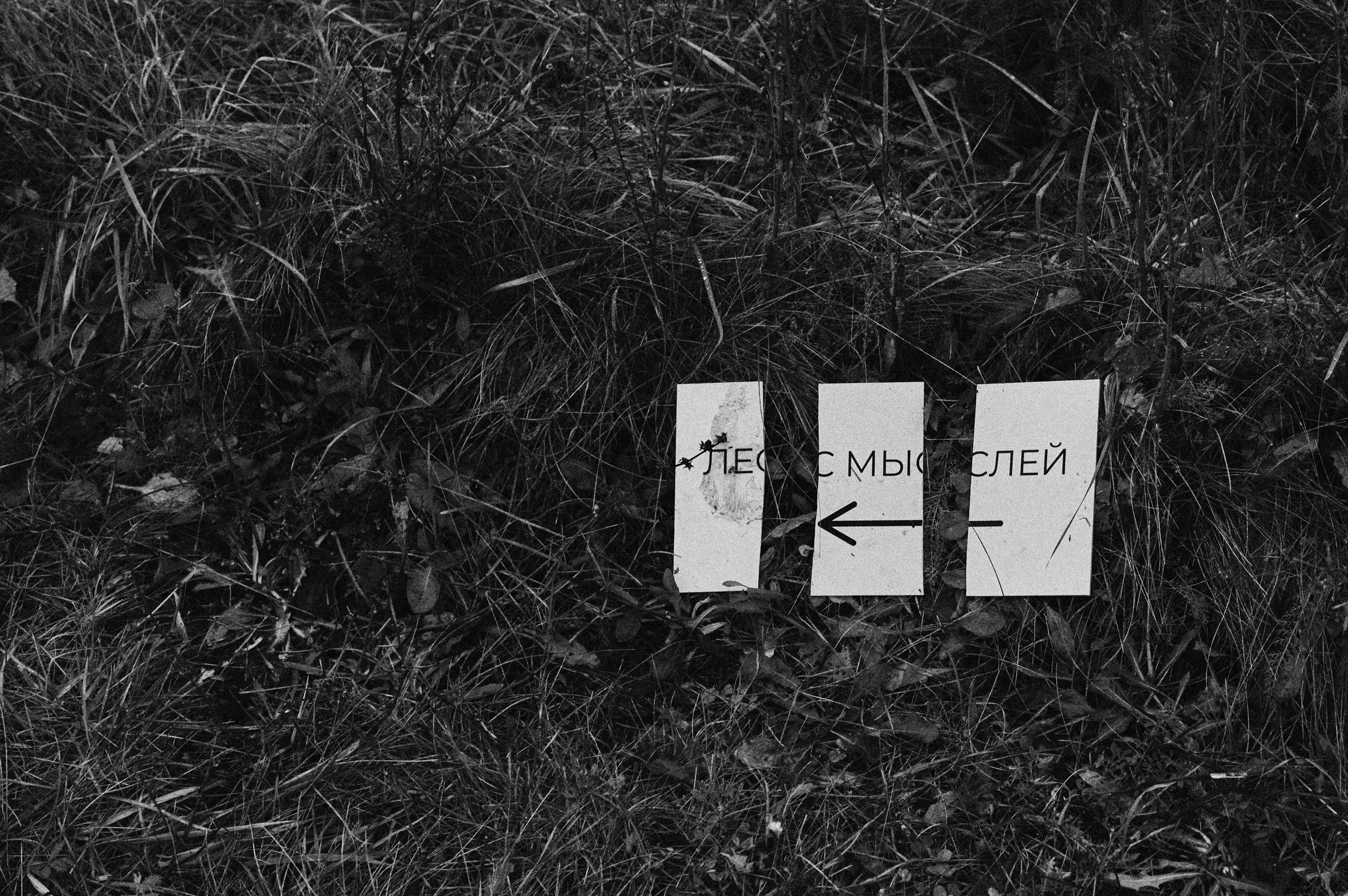 Перформанс «Лес мыслей». Коммерческий фотограф в Казани Ксения Добролюбова