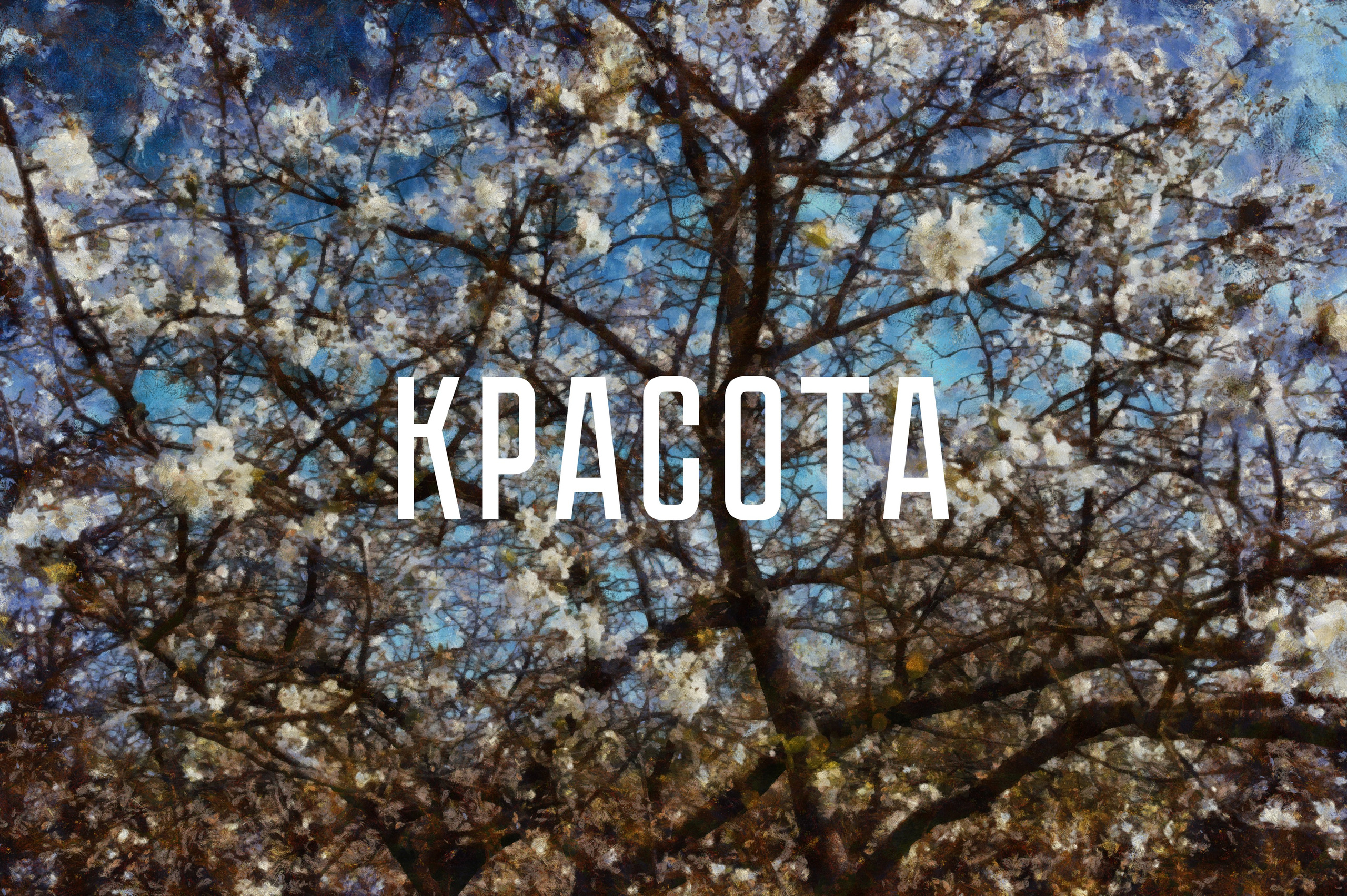 КРАСОТА. Роман Ходырев — эзотериолог, художник, фотограф и музыкант. Санкт-Петербург, Рига