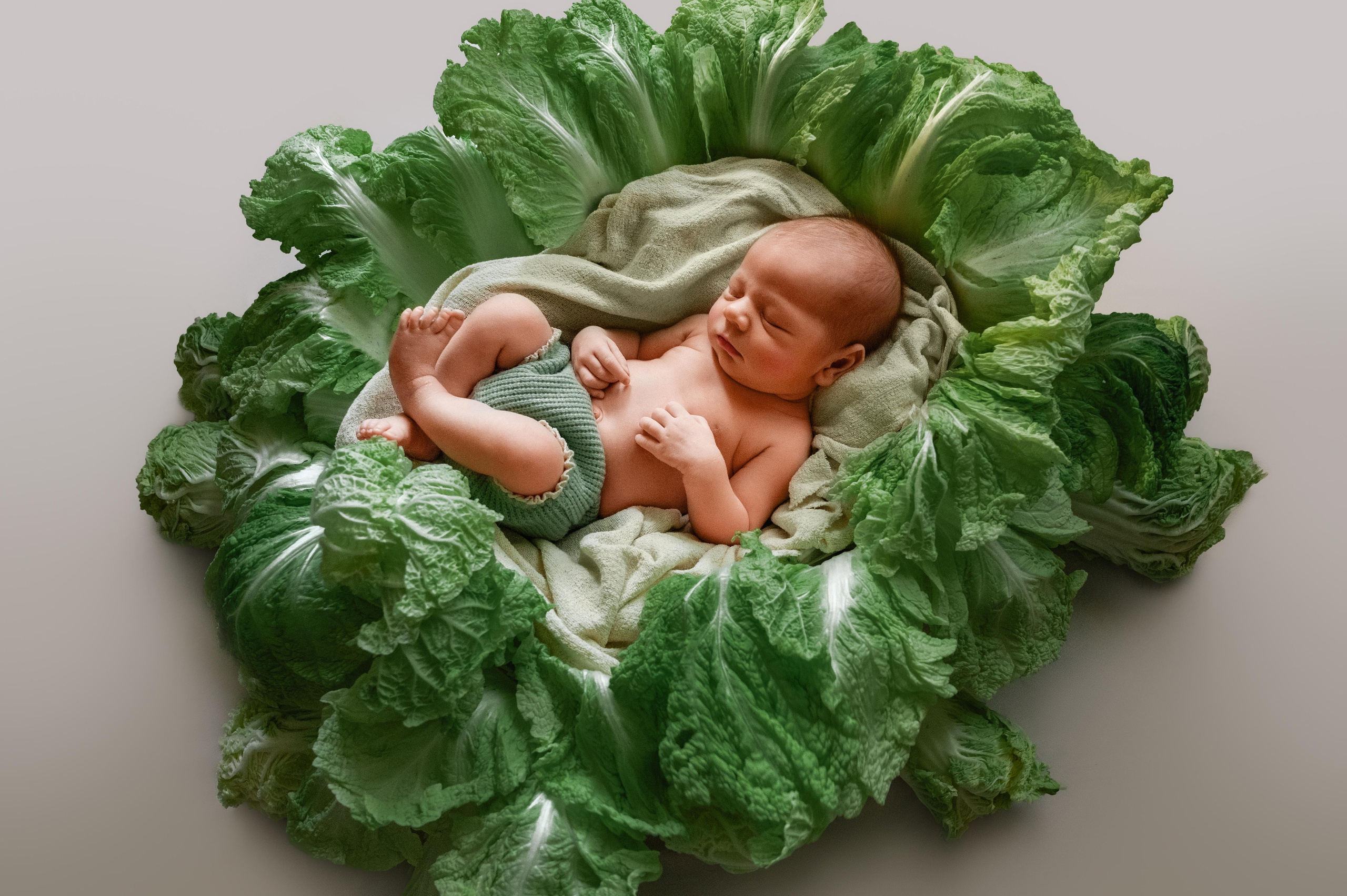 Пакет 3. Фотограф новорожденных малышей в Санкт-Петербурге