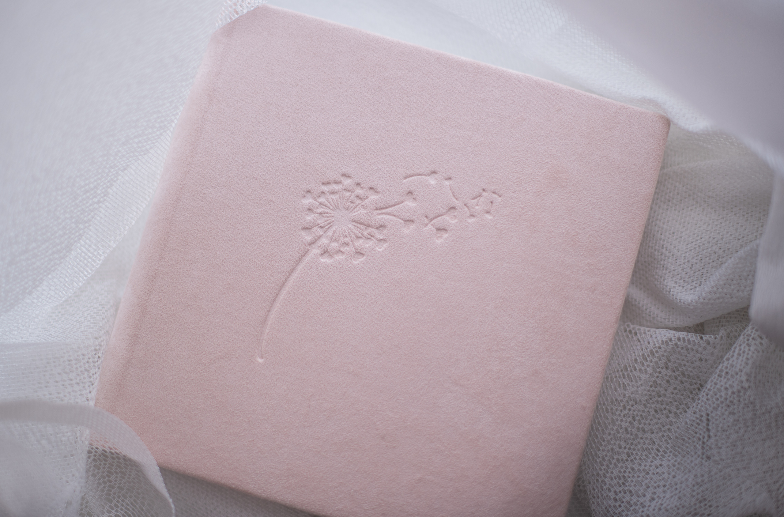 Стоимость. Семейный и детский фотограф в Москве и МО Елена Лапина