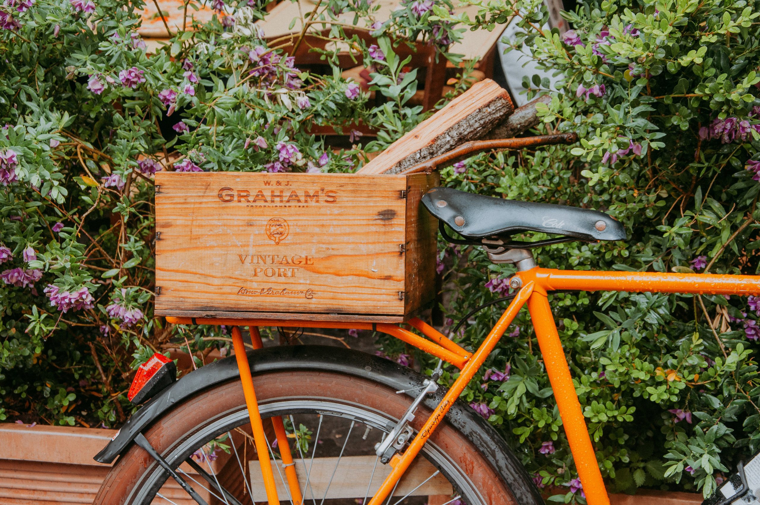 Прогулка по району Трастевере в Риме. Фотограф в Сочи и Абхазии | Фототуры | September Air
